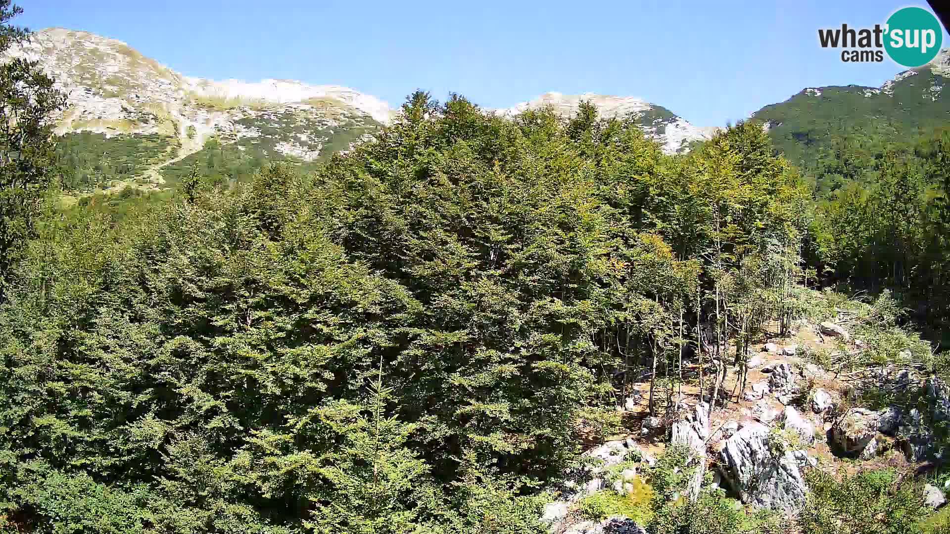 PLANINA RAZOR webcam (1315) | view to Vogel and Globoko