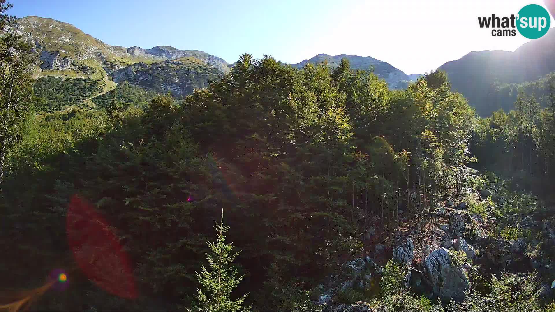 Webcam PLANINA RAZOR (1315) | Blick auf Vogel und Globoko