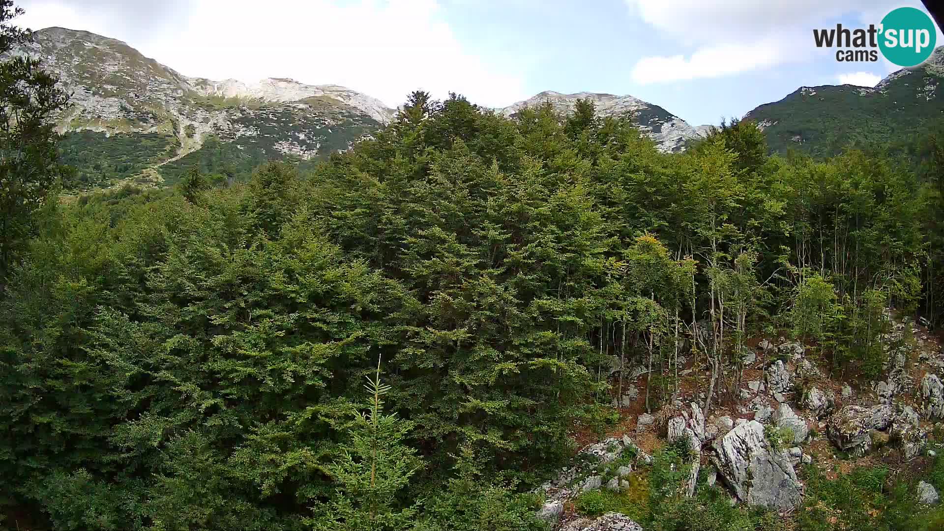 PLANINA RAZOR kamera (1315) | pogled na Vogel in Globoko