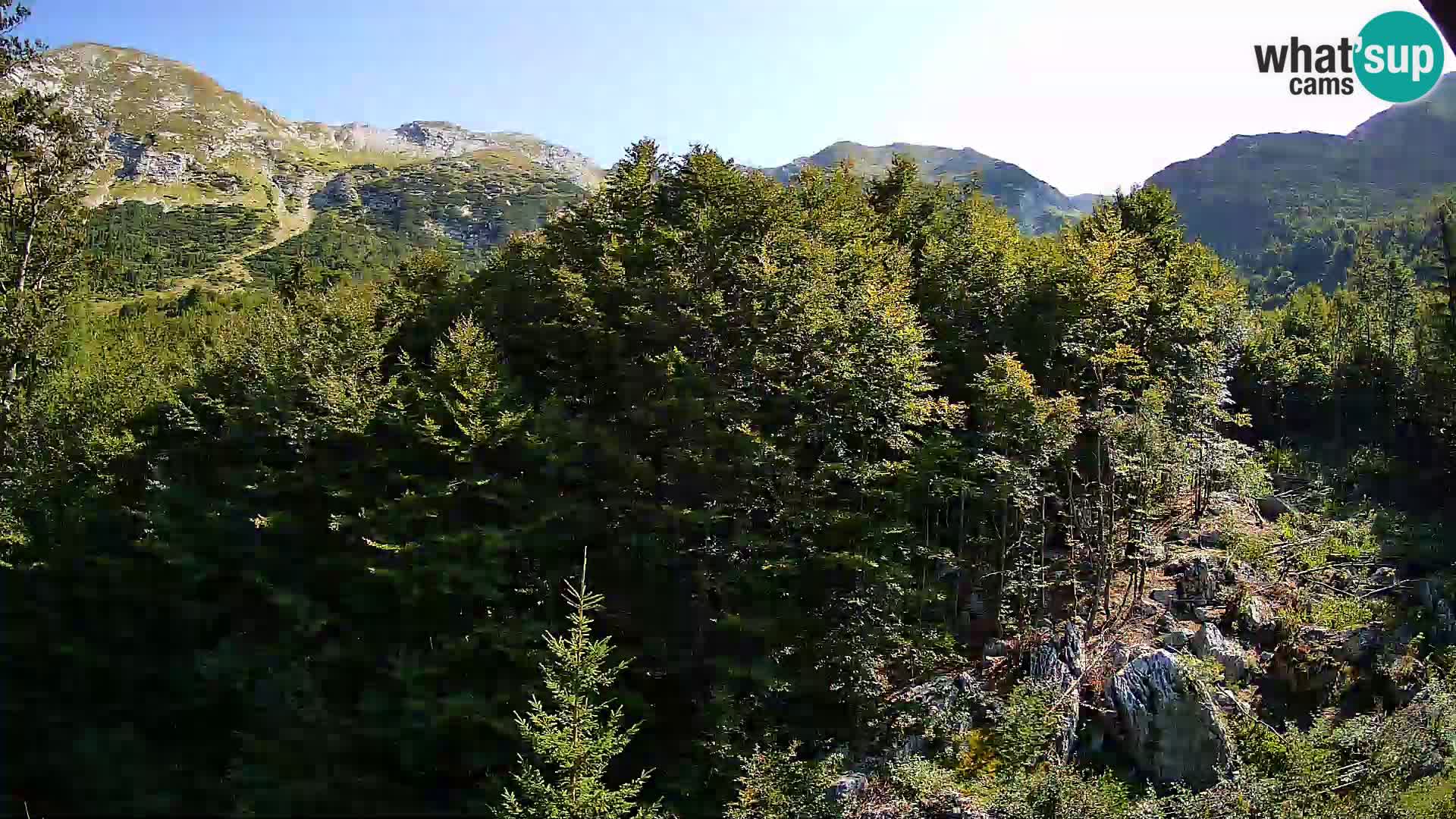 PLANINA RAZOR Live Cam (1315) | vista su Vogel e Globoko