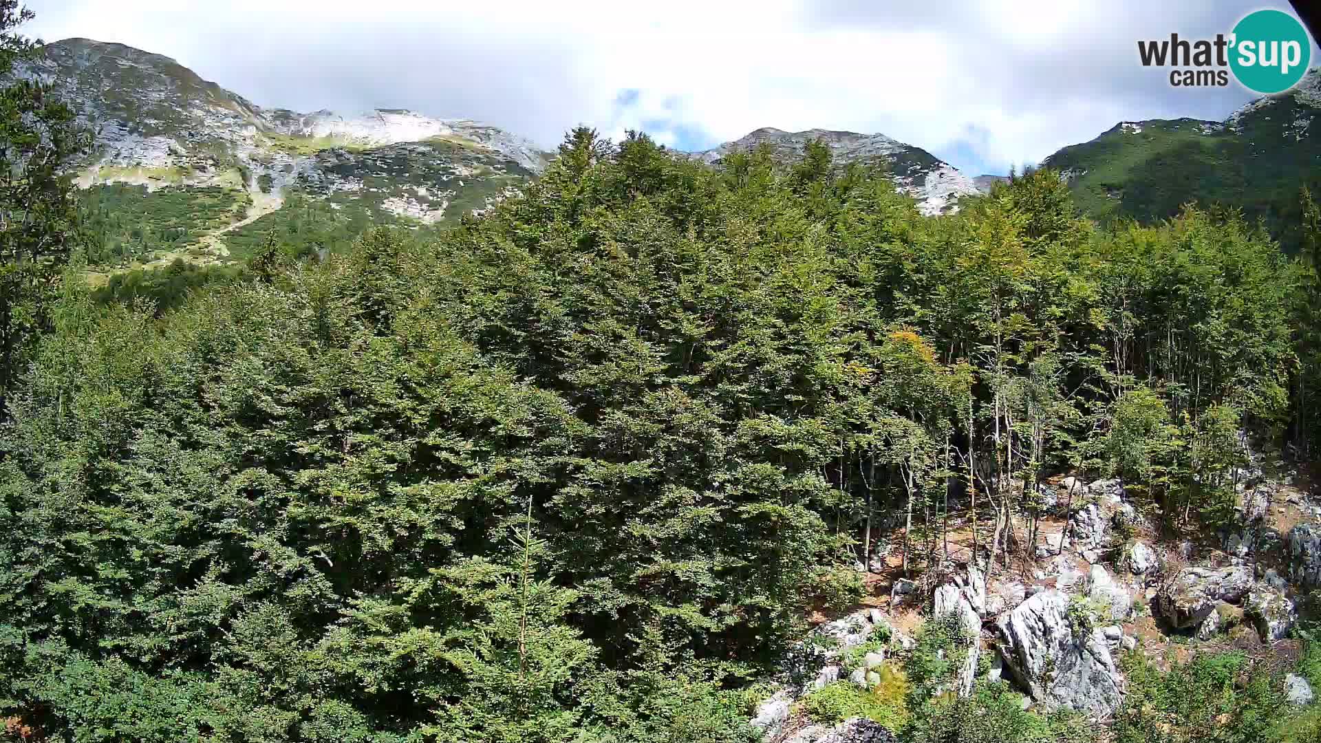 Webcam PLANINA RAZOR (1315) | Blick auf Vogel und Globoko