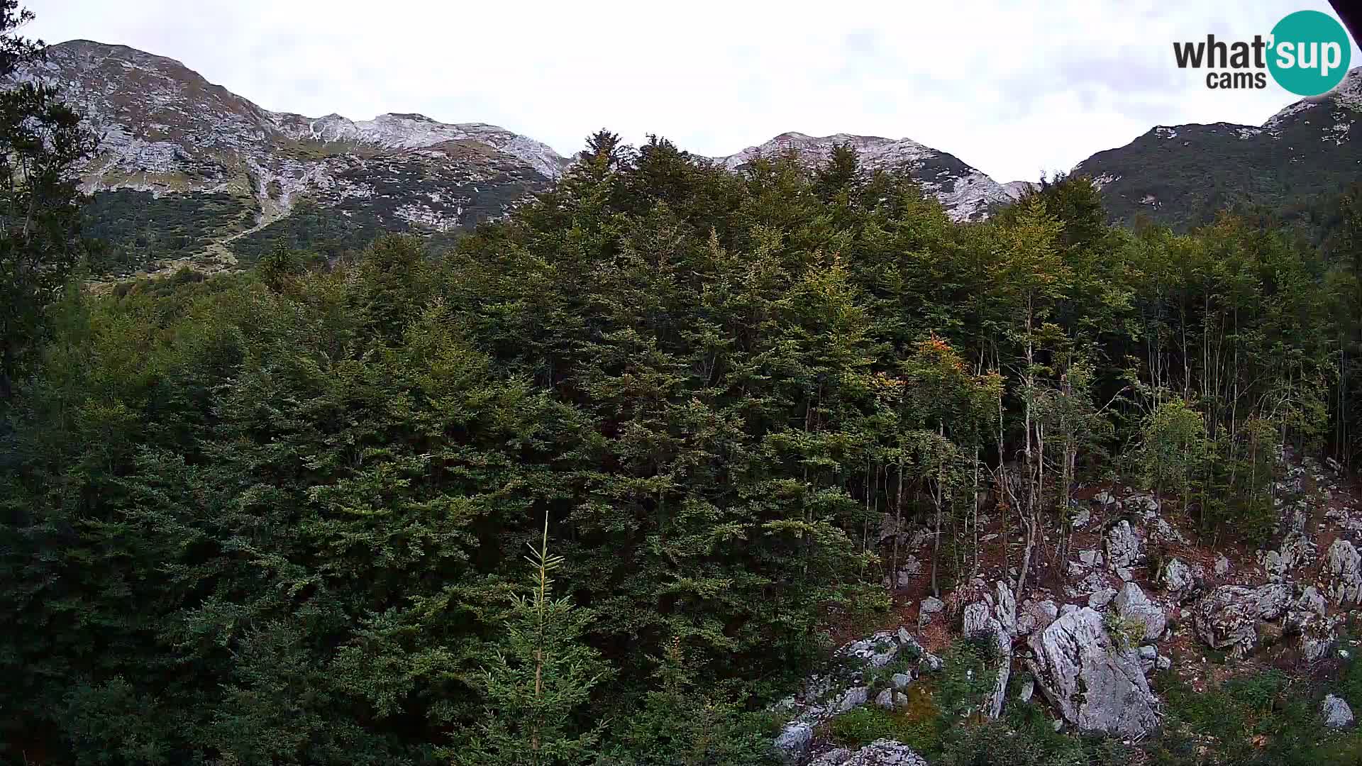 PLANINA RAZOR webcam (1315) | view to Vogel and Globoko
