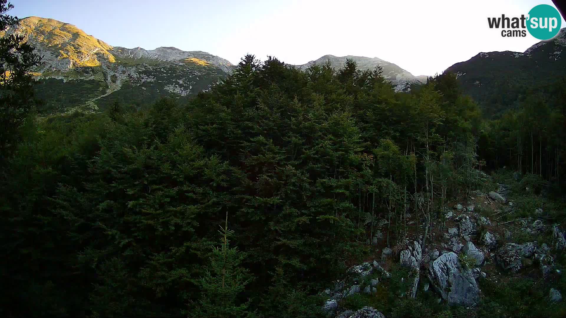 Livecam PLANINA RAZOR (1315) | vue sur Vogel et Globoko