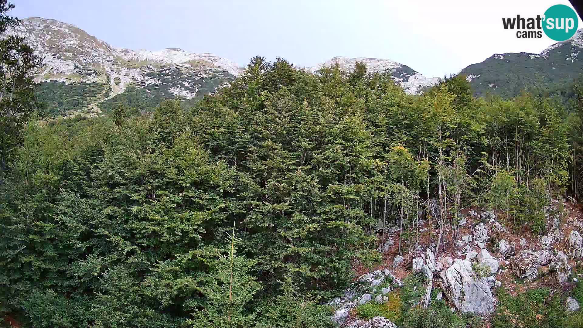 Livecam PLANINA RAZOR (1315) | vue sur Vogel et Globoko
