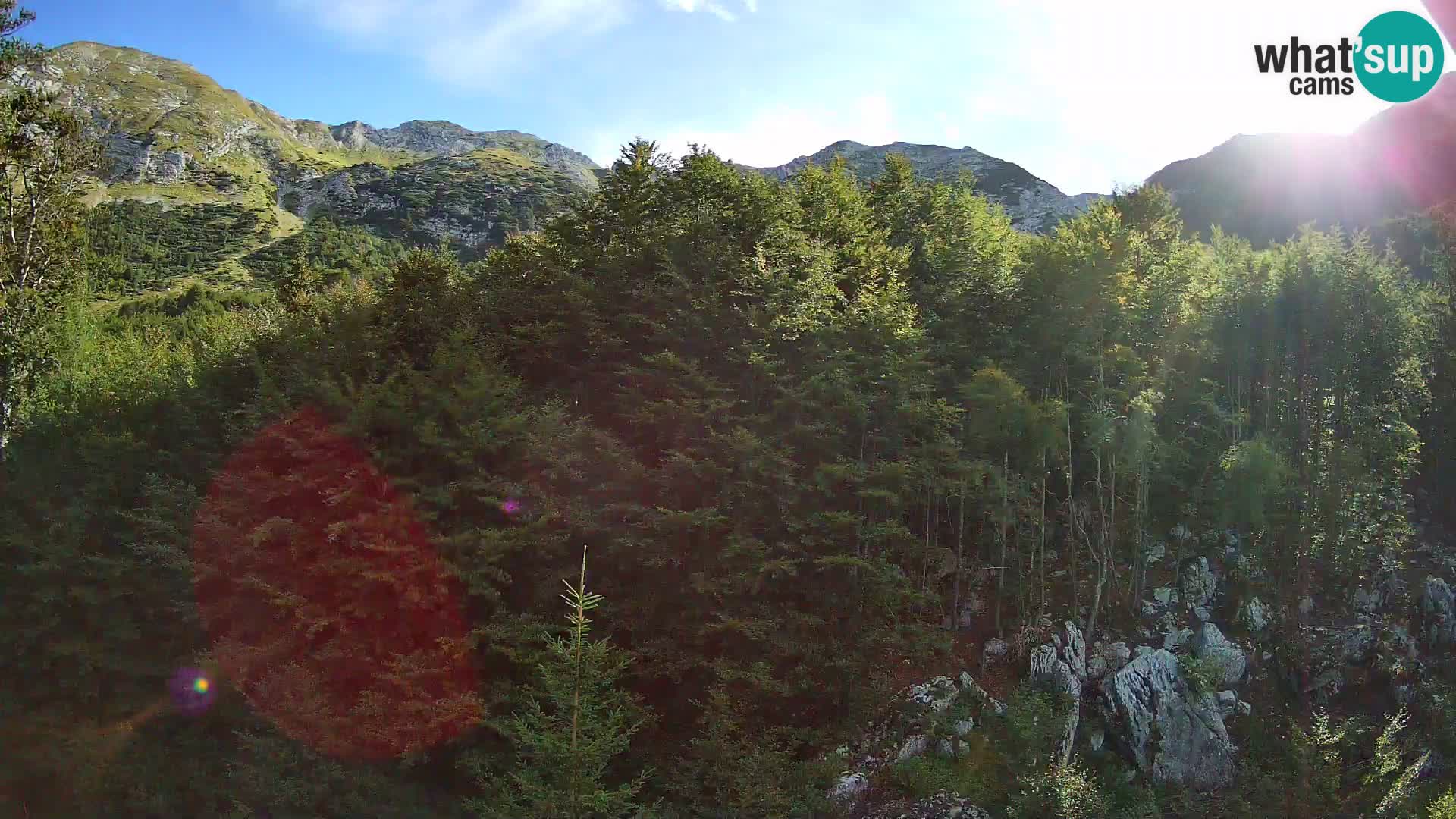 PLANINA RAZOR webcam (1315) | view to Vogel and Globoko