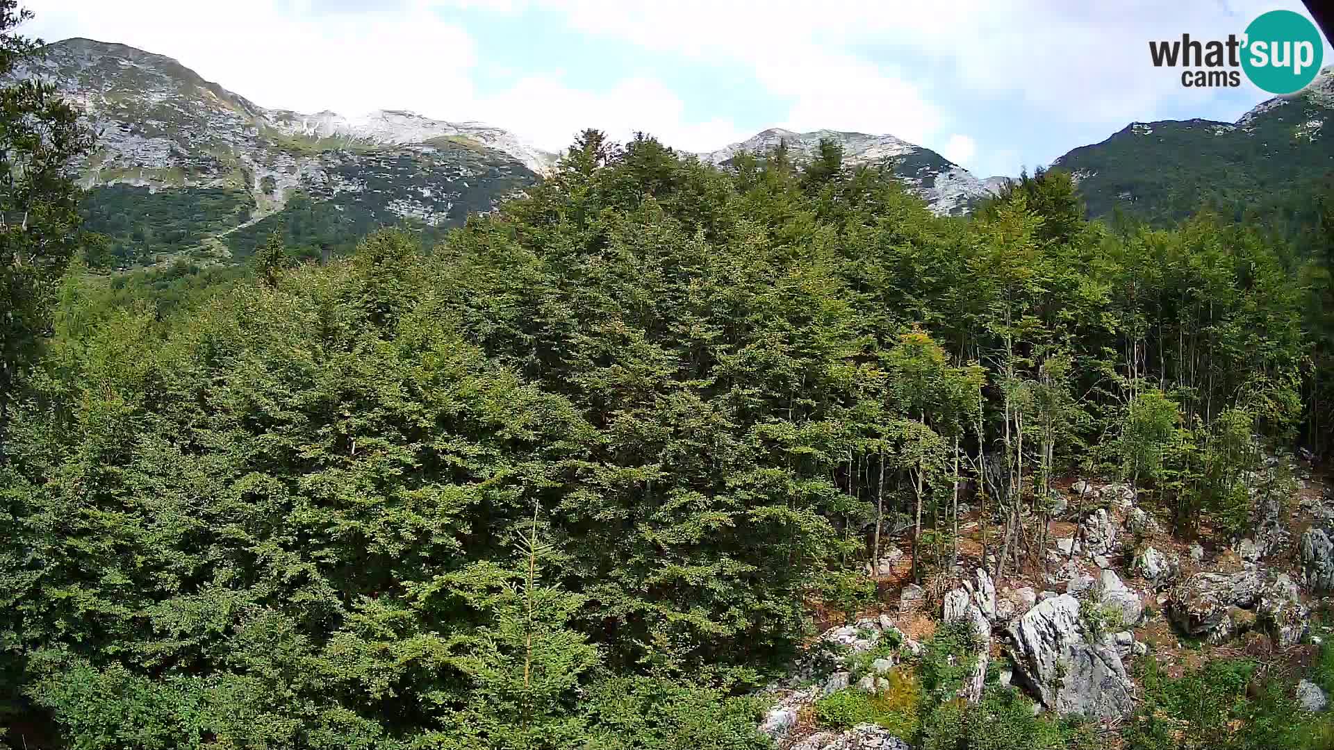 PLANINA RAZOR Live Cam (1315) | vista su Vogel e Globoko