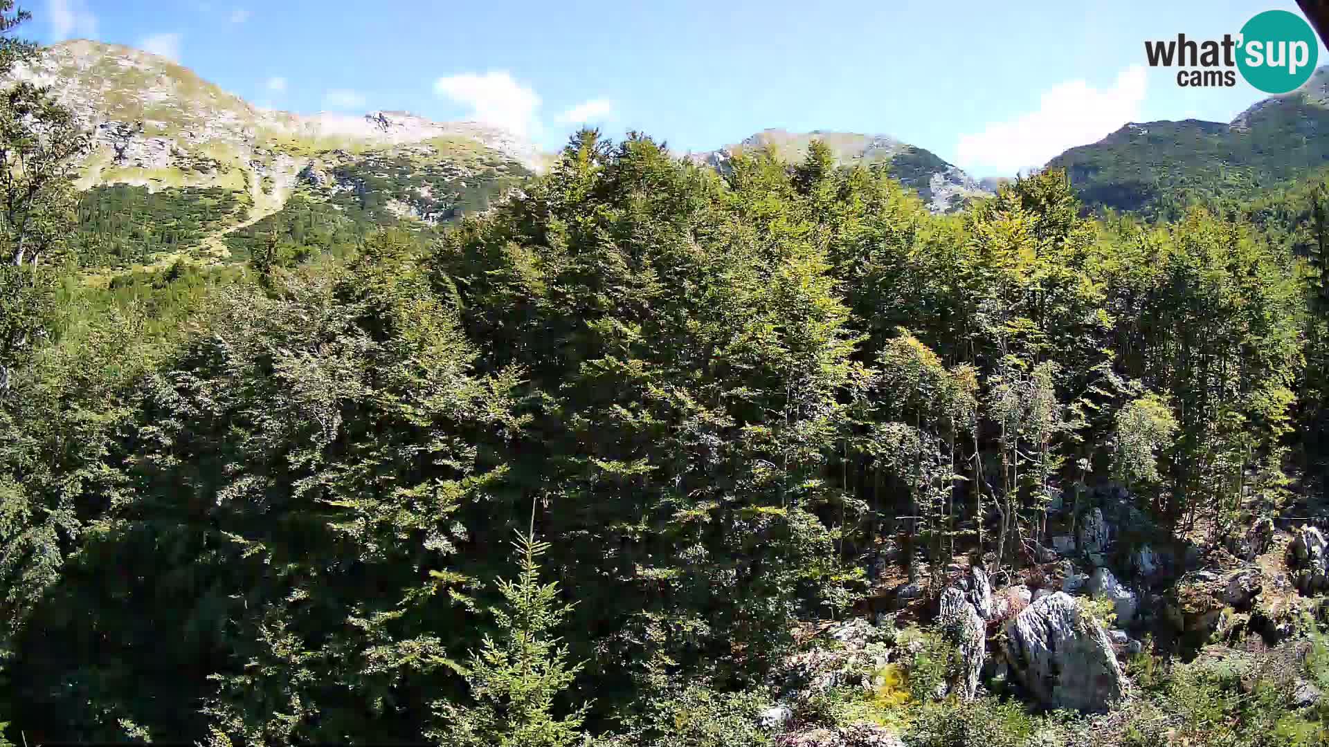PLANINA RAZOR Live Cam (1315) | vista su Vogel e Globoko