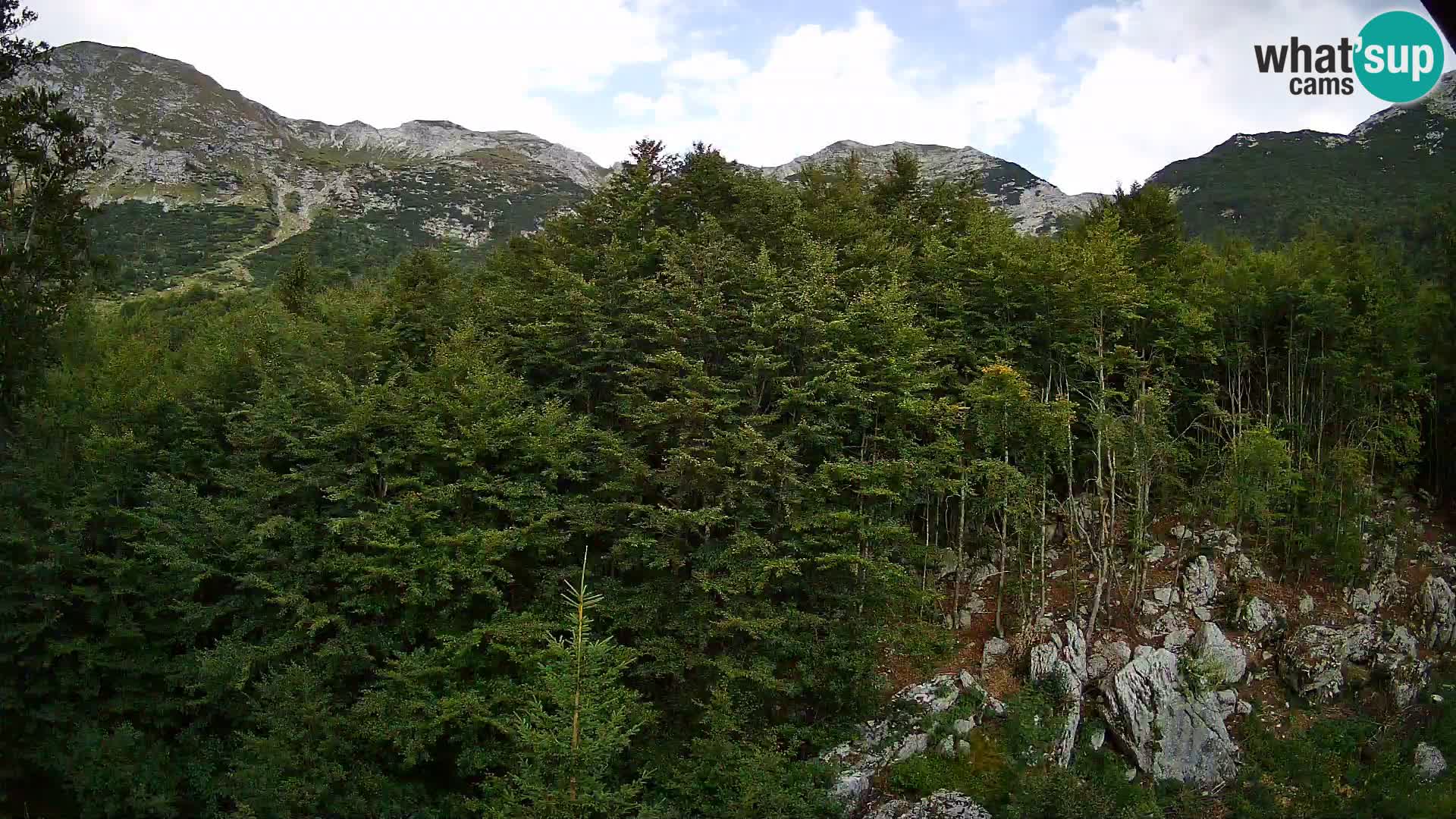 PLANINA RAZOR web kamera (1315) | pogled na Vogel i Globoko