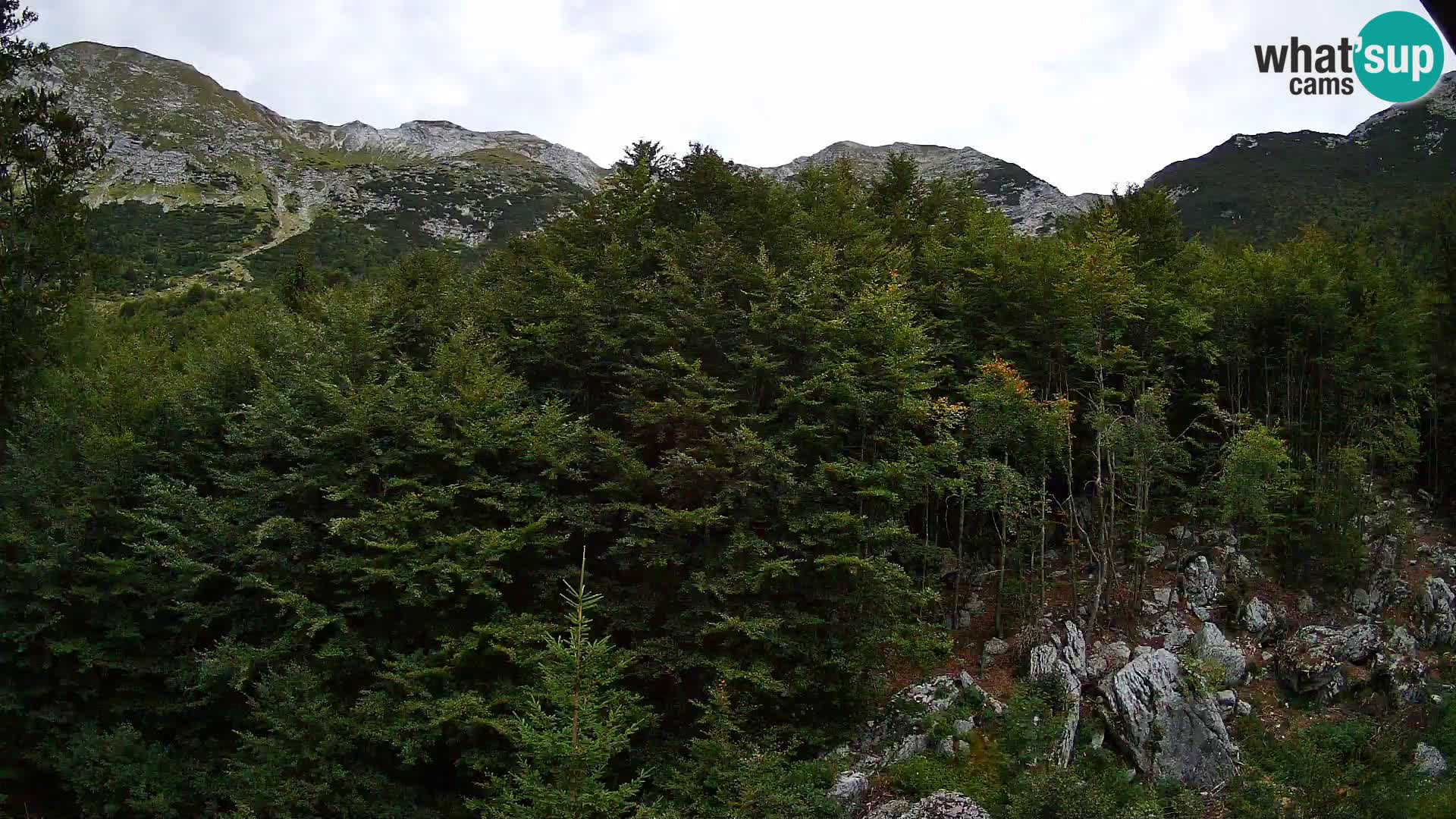 PLANINA RAZOR kamera (1315) | pogled na Vogel in Globoko