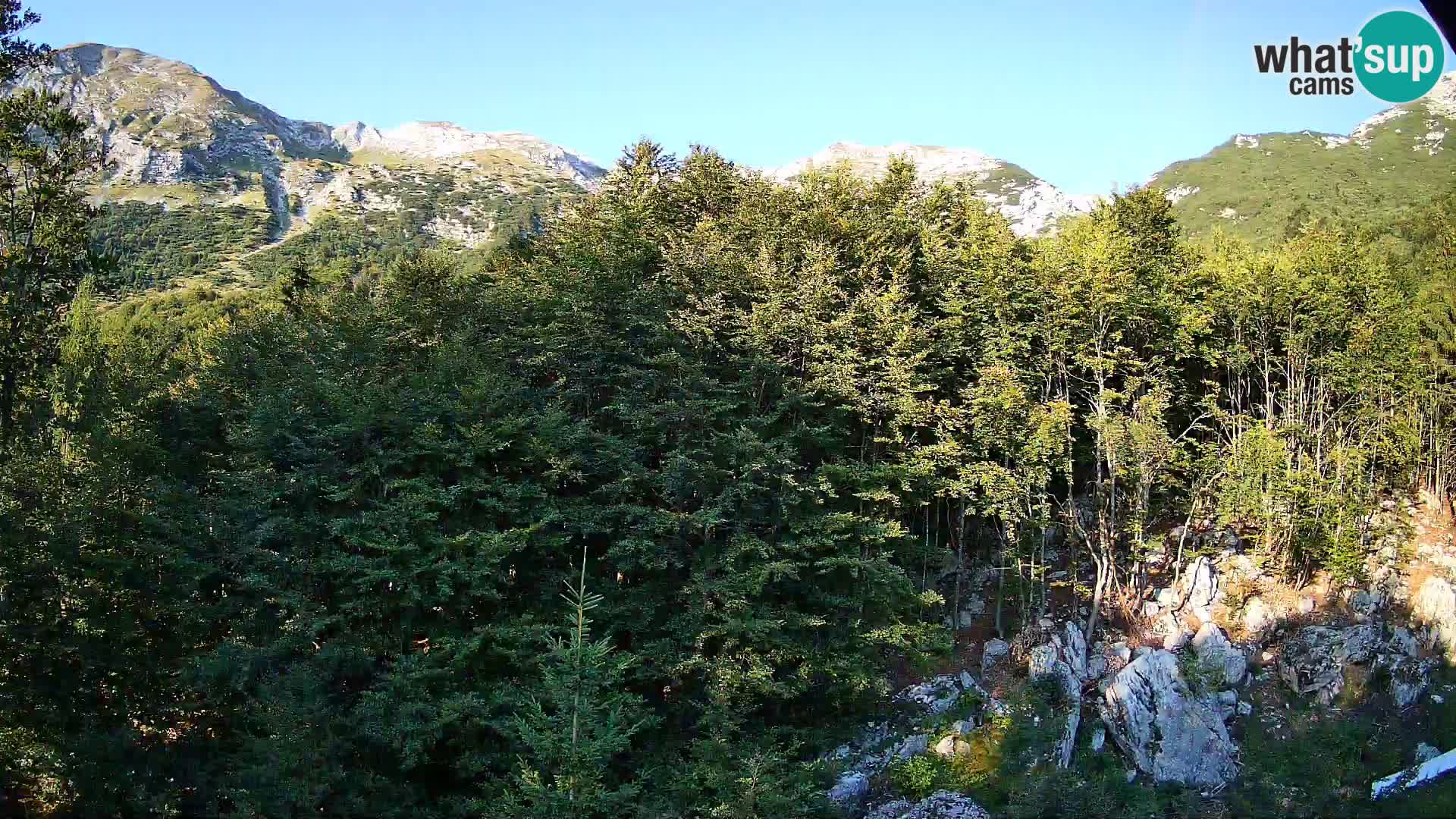 Webcam PLANINA RAZOR (1315) | Blick auf Vogel und Globoko