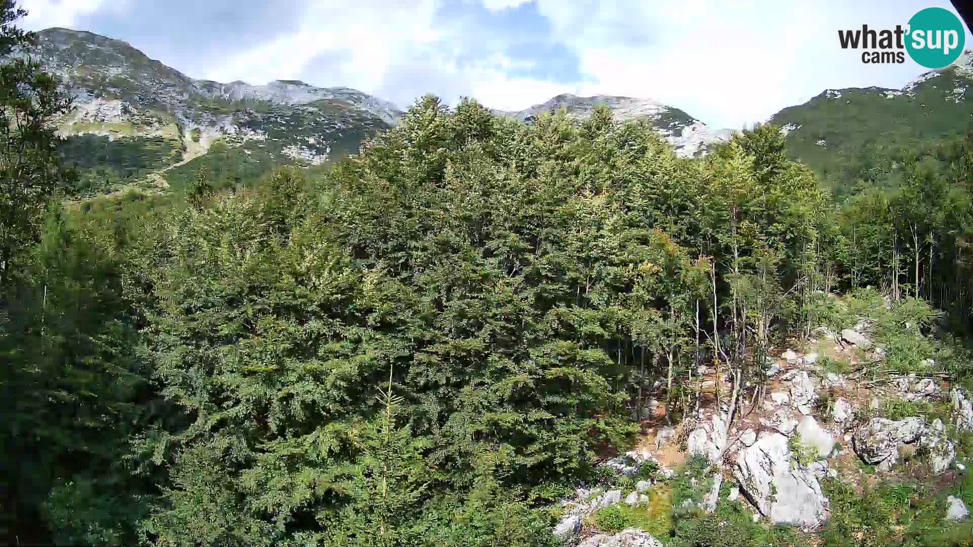 Webcam PLANINA RAZOR (1315) | Blick auf Vogel und Globoko