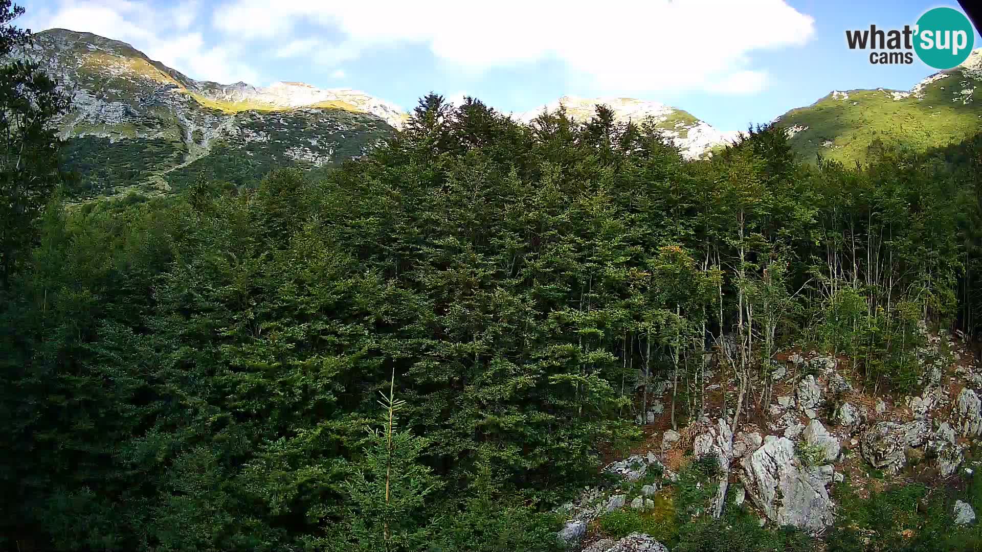 Webcam PLANINA RAZOR (1315) | Blick auf Vogel und Globoko