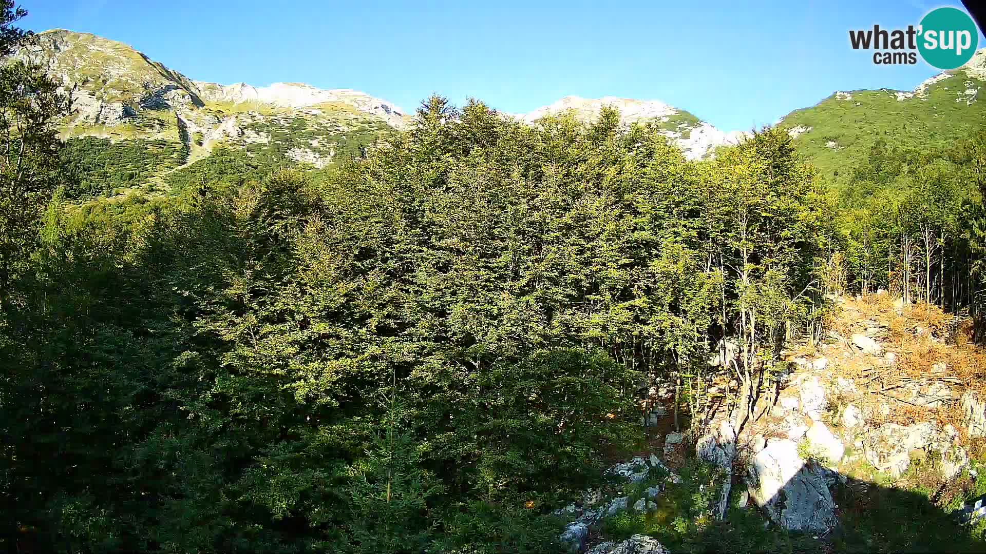 PLANINA RAZOR Live Cam (1315) | vista su Vogel e Globoko