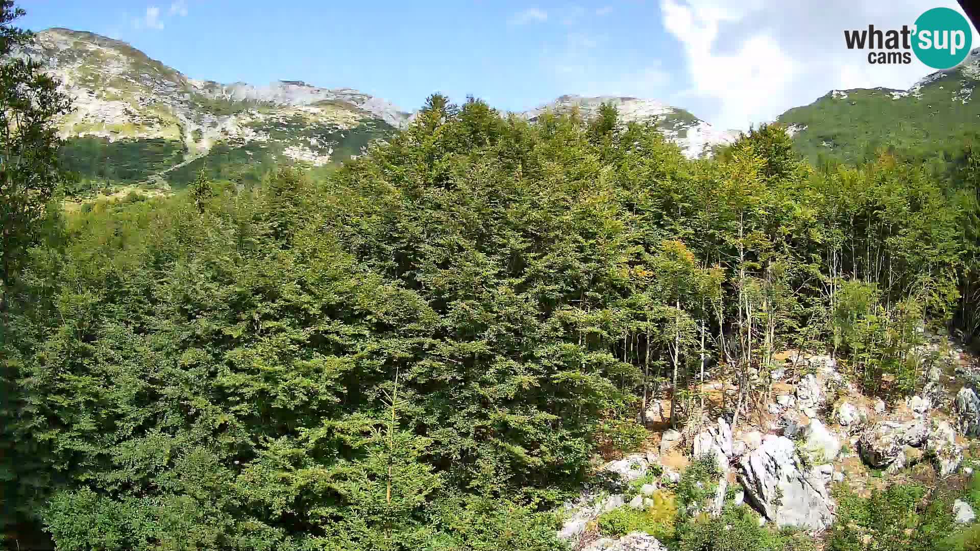 PLANINA RAZOR Live Cam (1315) | vista su Vogel e Globoko