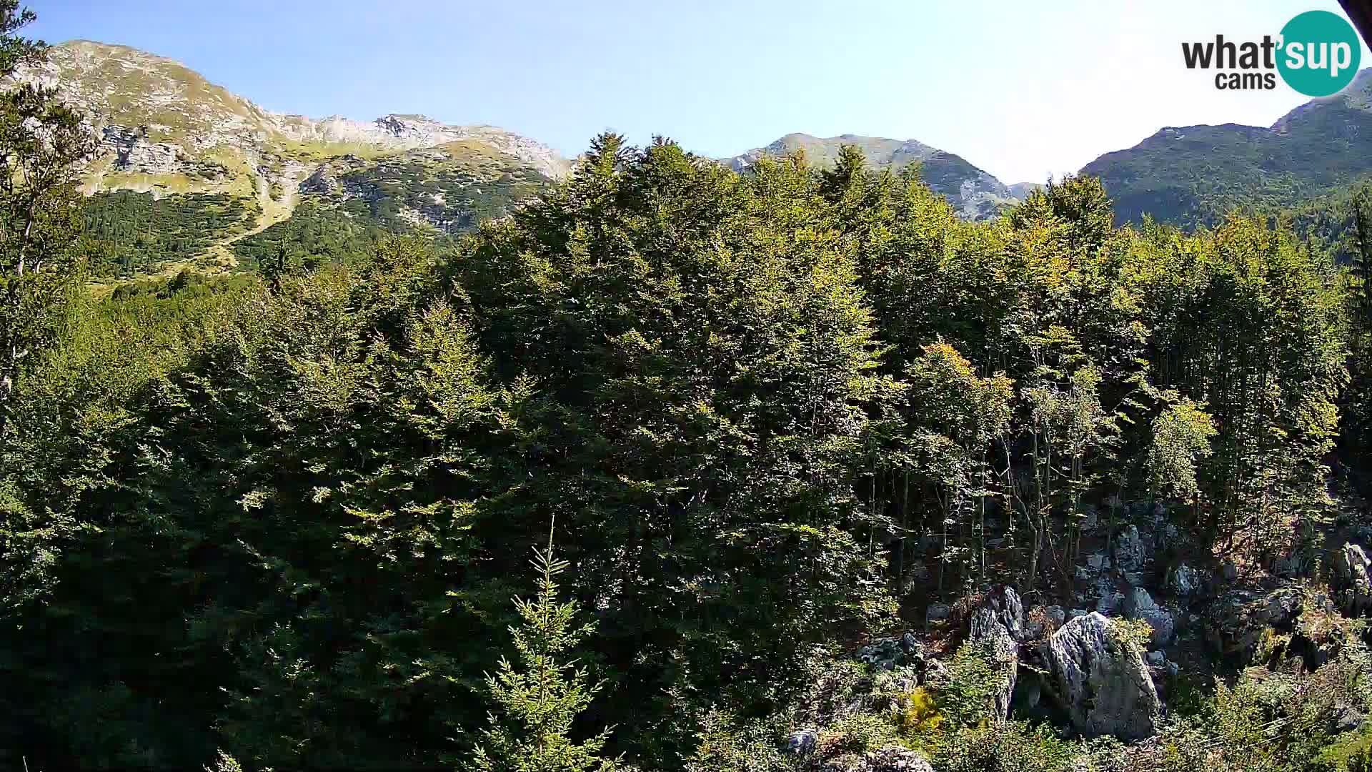 PLANINA RAZOR Live Cam (1315) | vista su Vogel e Globoko