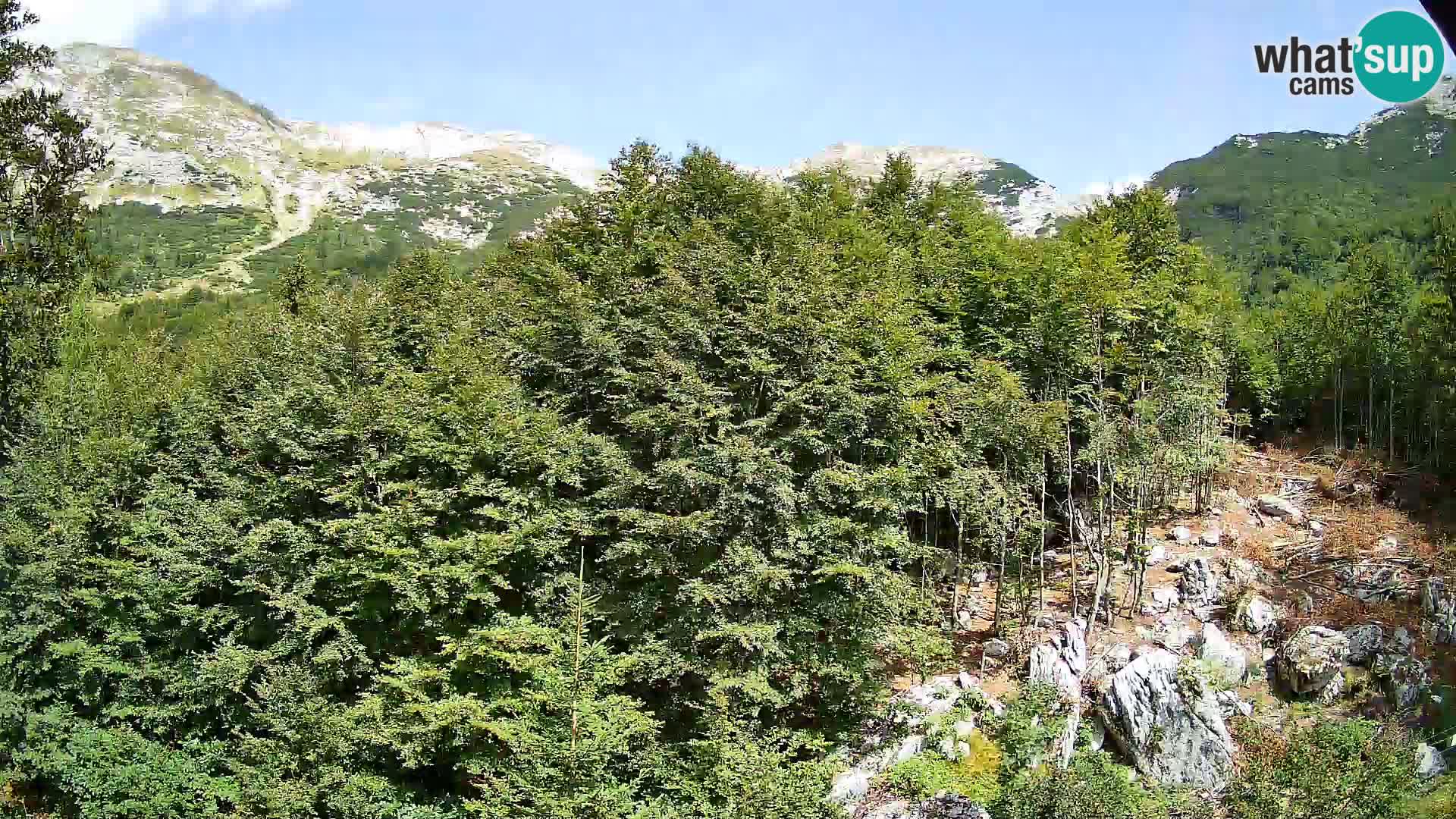 Livecam PLANINA RAZOR (1315) | vue sur Vogel et Globoko