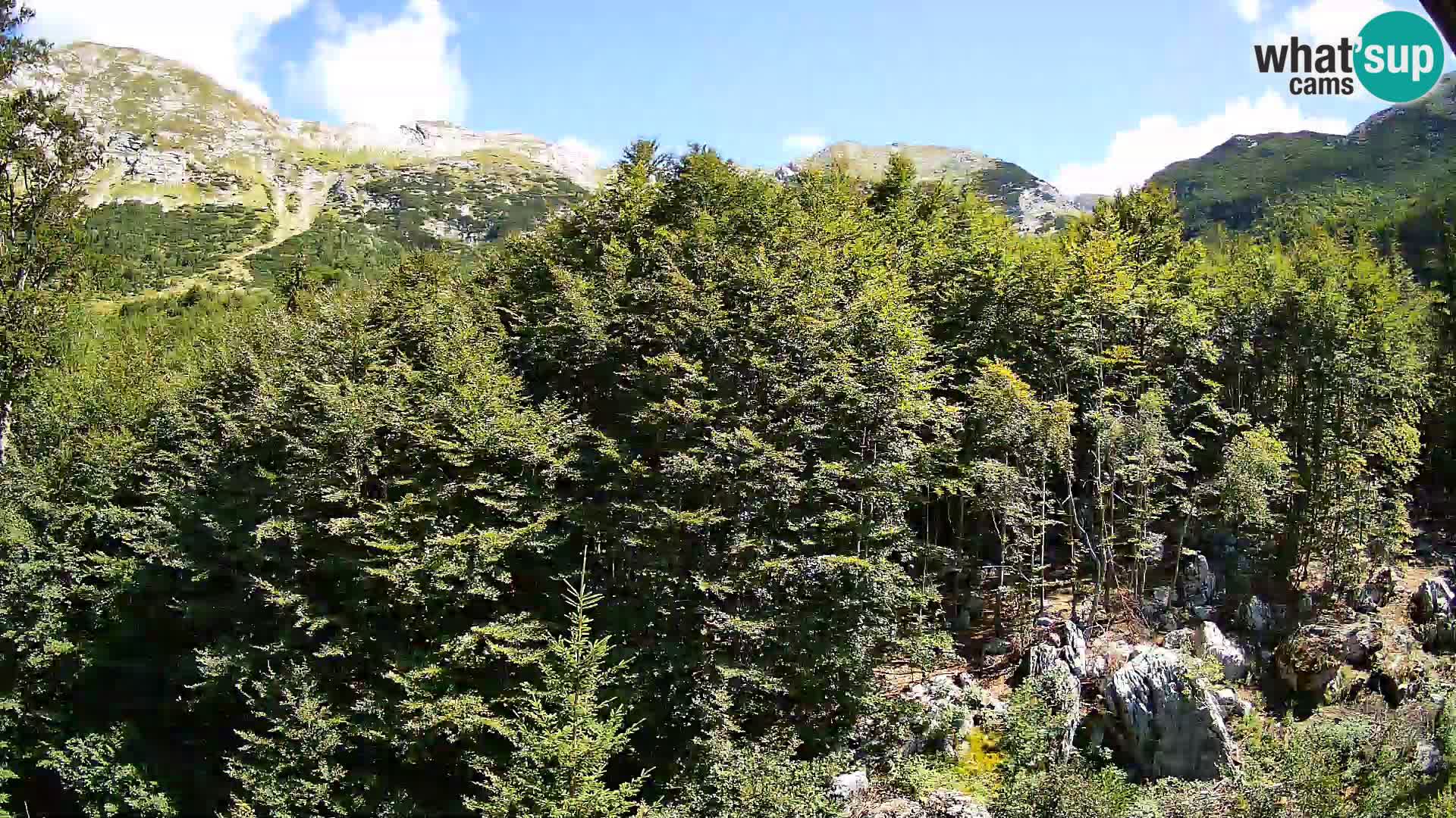 PLANINA RAZOR Live Cam (1315) | vista su Vogel e Globoko
