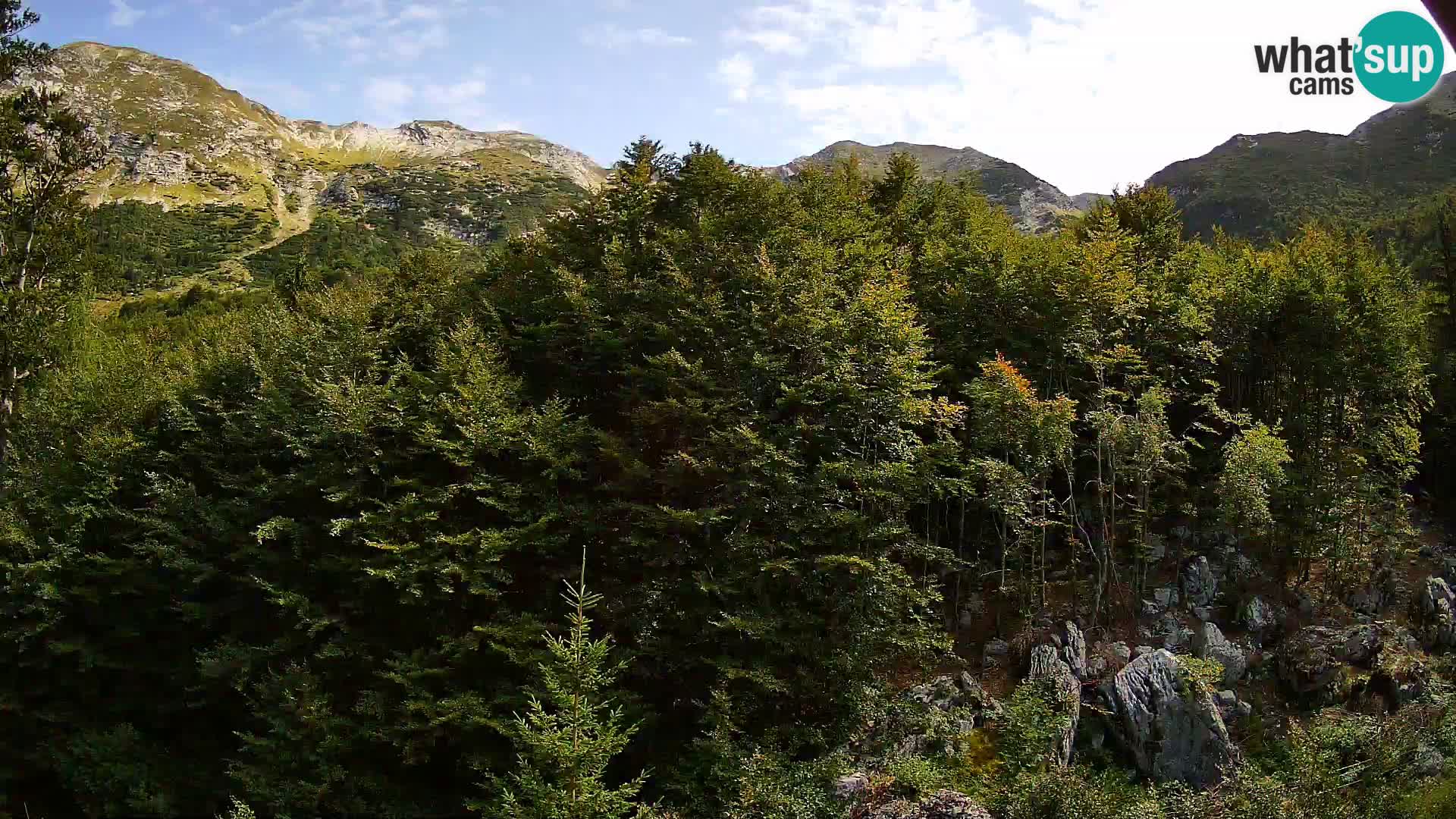 PLANINA RAZOR webcam (1315) | view to Vogel and Globoko