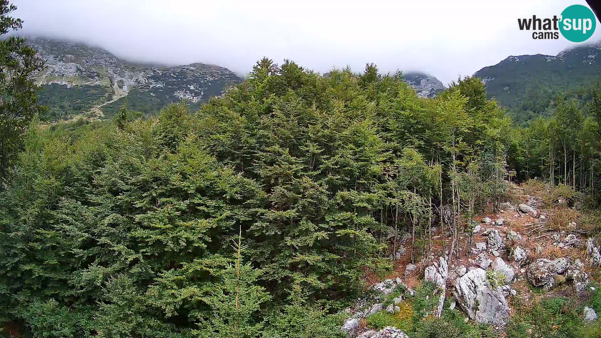 PLANINA RAZOR web kamera (1315) | pogled na Vogel i Globoko
