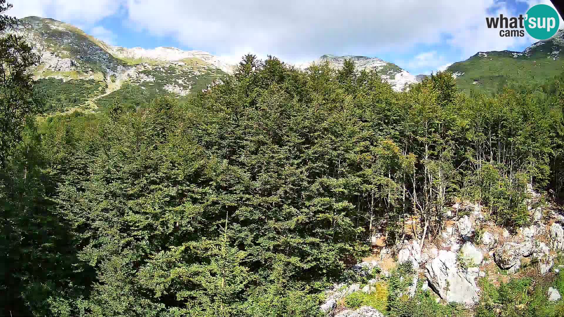 PLANINA RAZOR Live Cam (1315) | vista su Vogel e Globoko