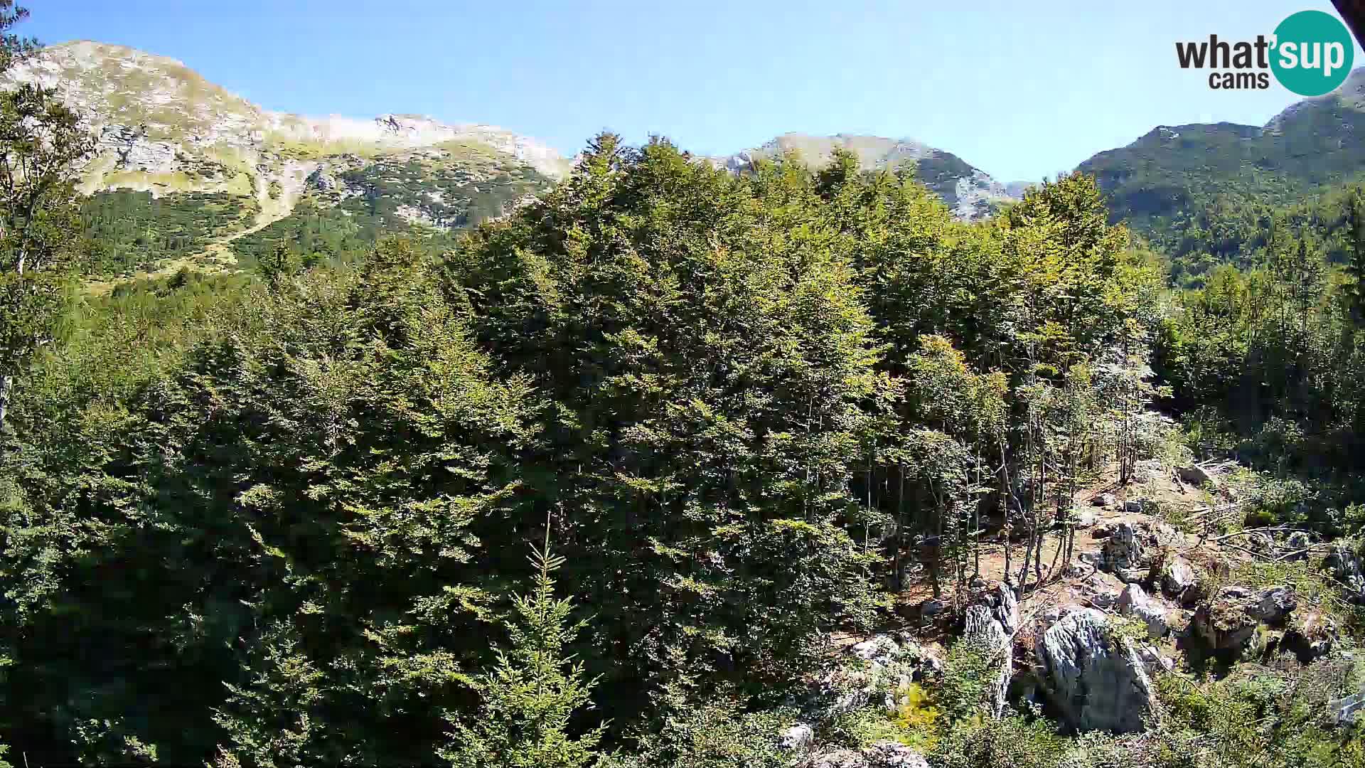 PLANINA RAZOR webcam (1315) | view to Vogel and Globoko