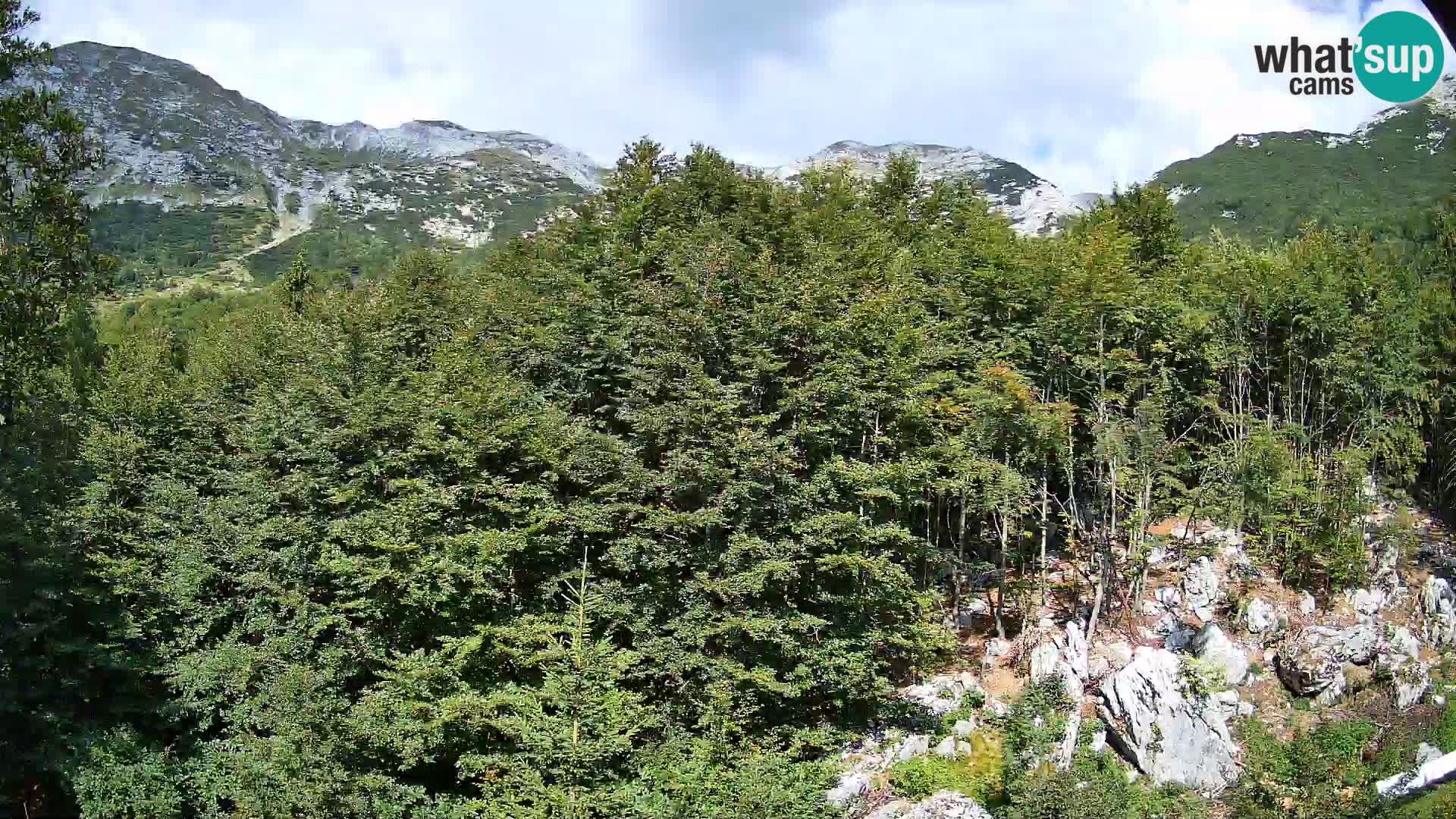 Webcam PLANINA RAZOR (1315) | Blick auf Vogel und Globoko