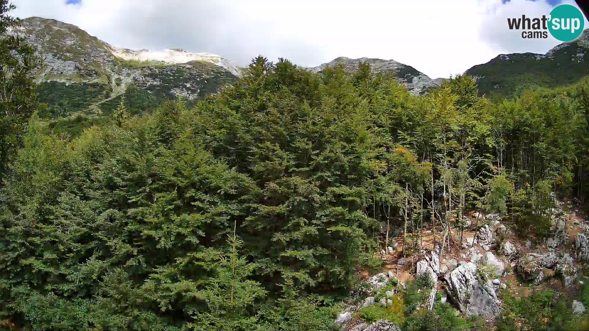 Webcam PLANINA RAZOR (1315) | Blick auf Vogel und Globoko