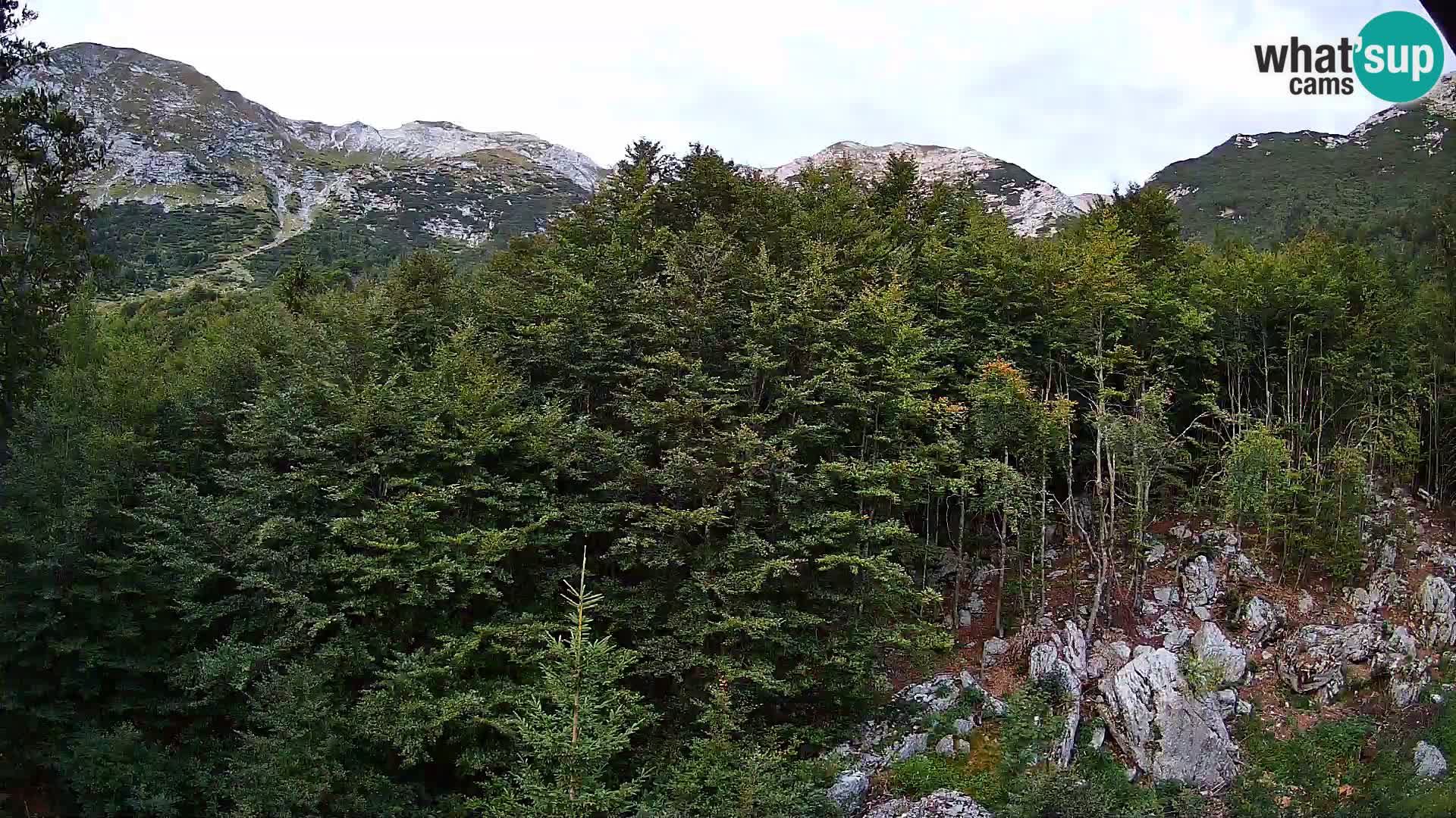 Webcam PLANINA RAZOR (1315) | Blick auf Vogel und Globoko