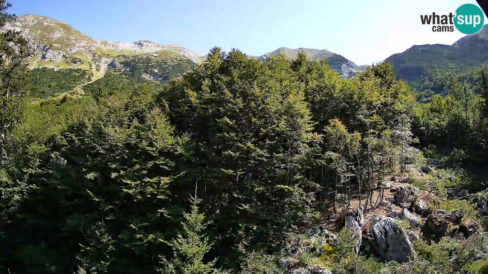 PLANINA RAZOR Live Cam (1315) | vista su Vogel e Globoko
