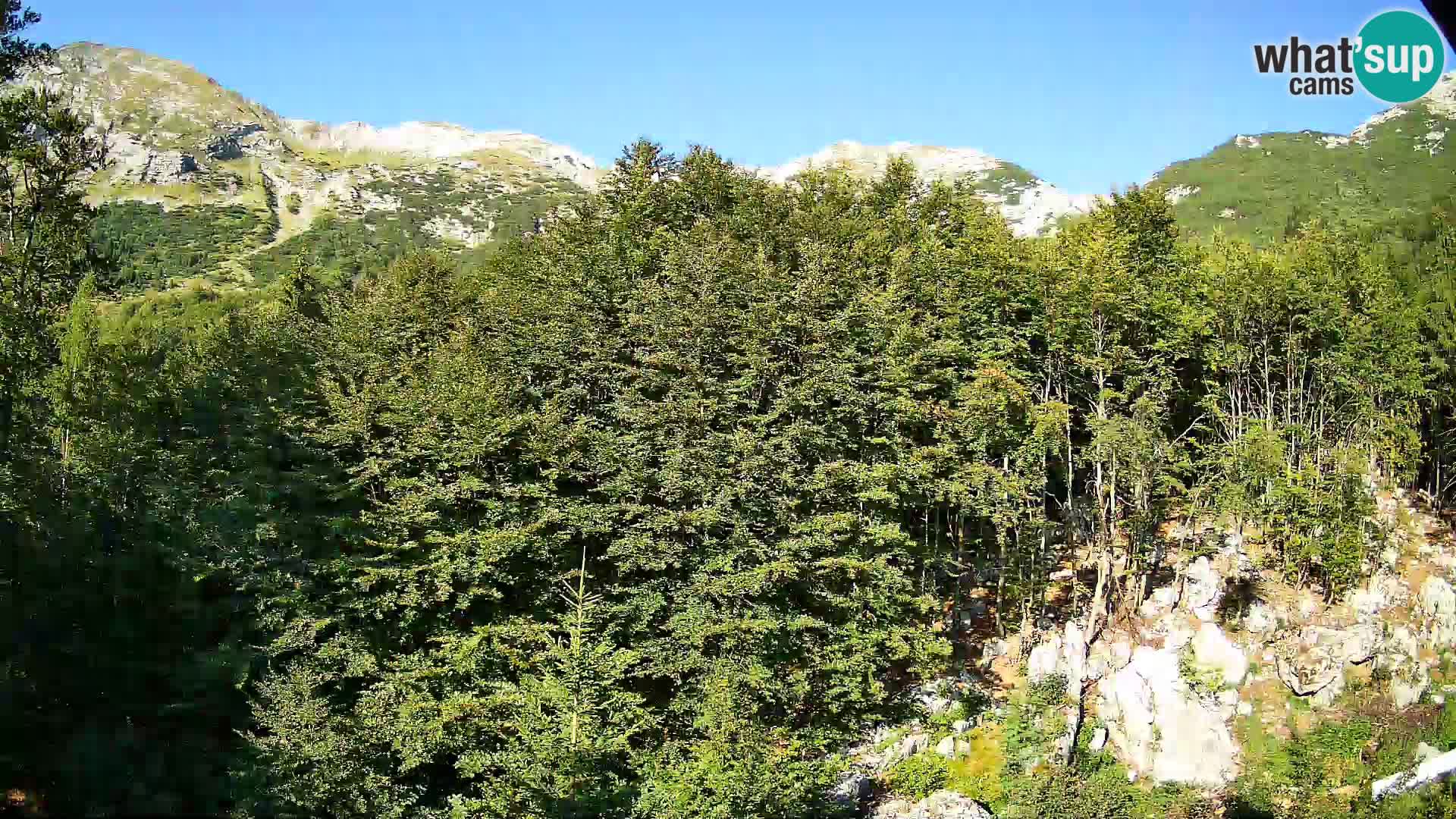 PLANINA RAZOR webcam (1315) | view to Vogel and Globoko