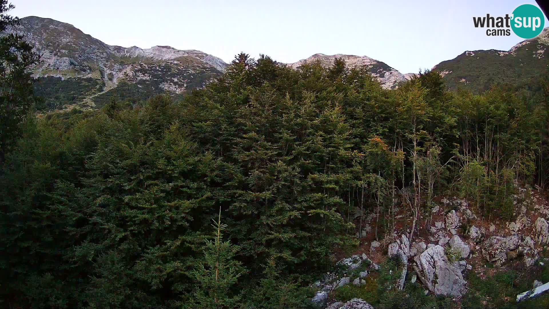 PLANINA RAZOR webcam (1315) | view to Vogel and Globoko