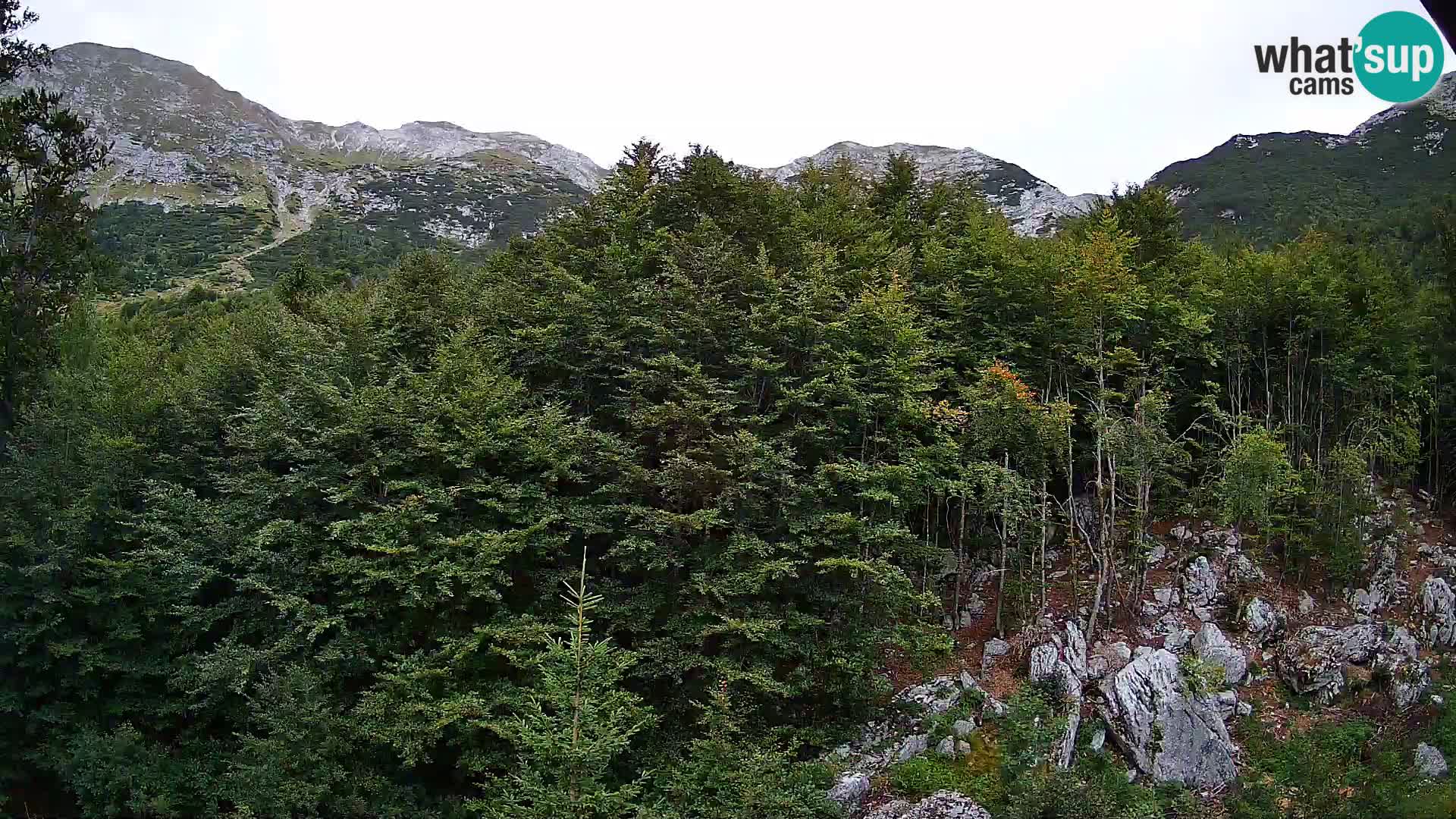 PLANINA RAZOR webcam (1315) | view to Vogel and Globoko