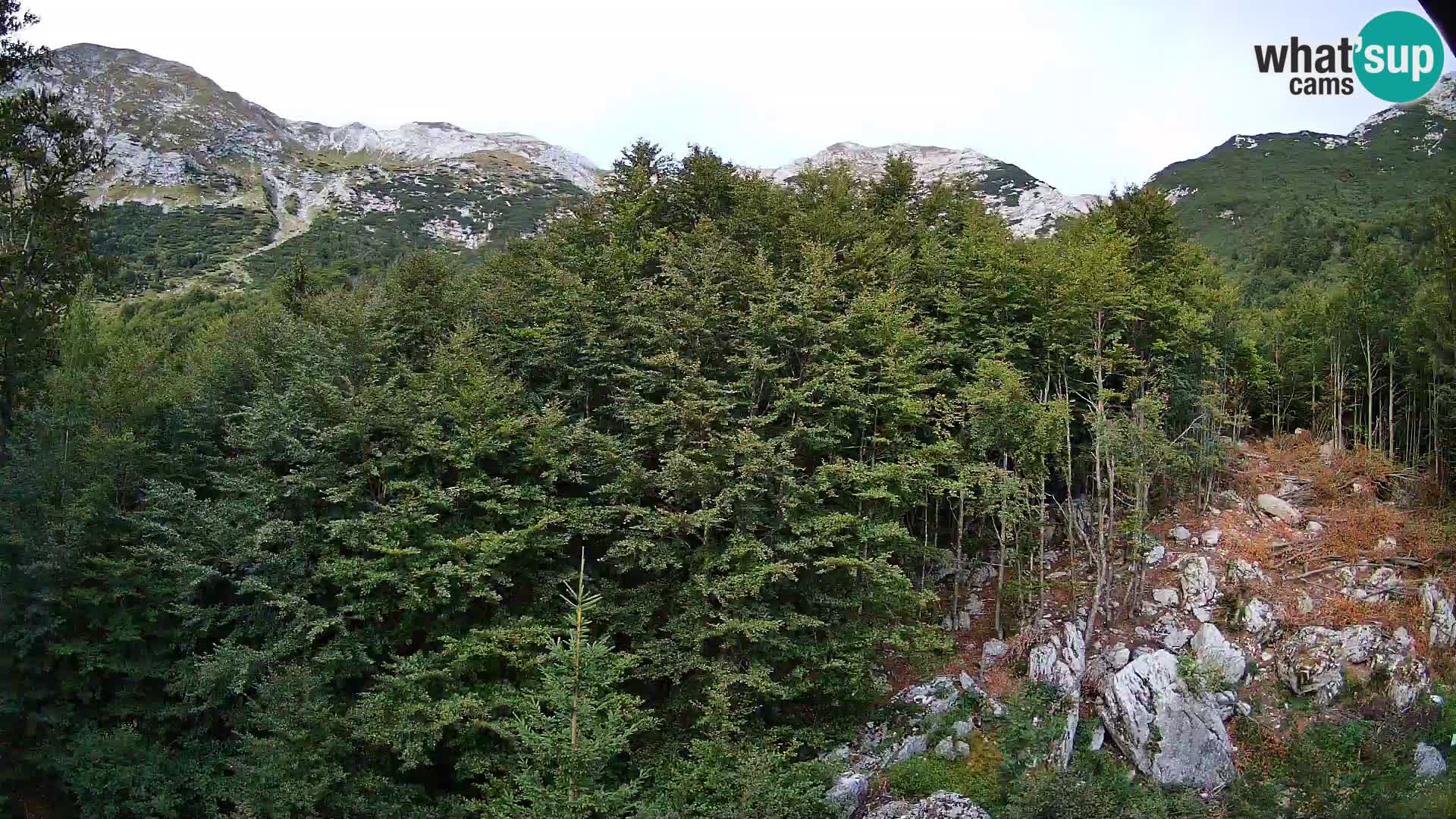 PLANINA RAZOR kamera (1315) | pogled na Vogel in Globoko