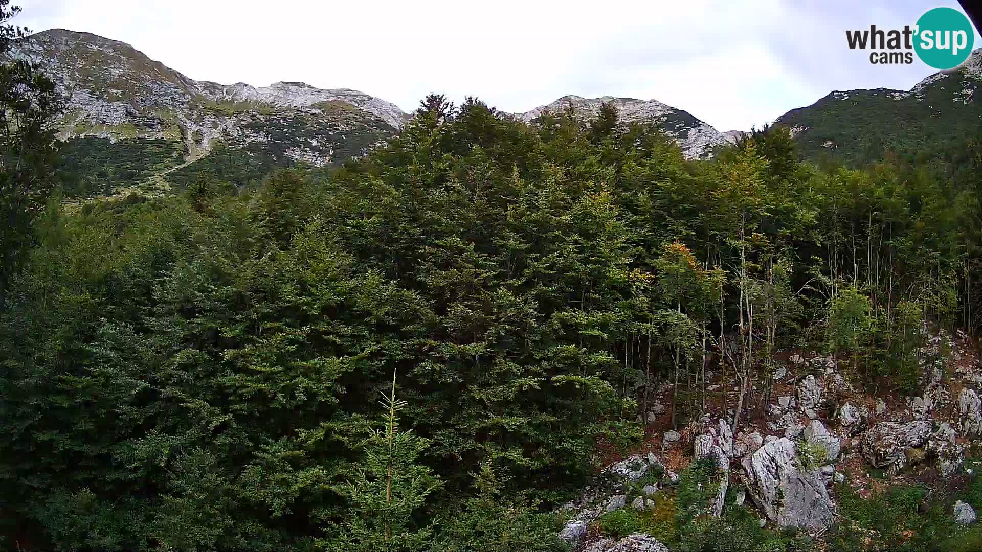 PLANINA RAZOR kamera (1315) | pogled na Vogel in Globoko