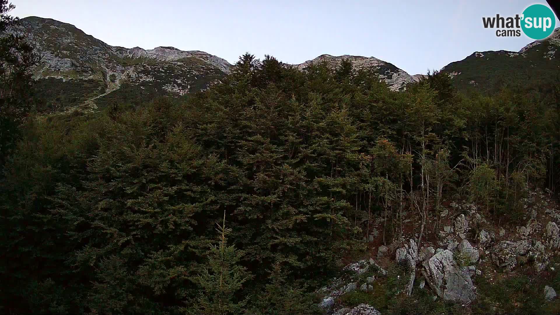Livecam PLANINA RAZOR (1315) | vue sur Vogel et Globoko