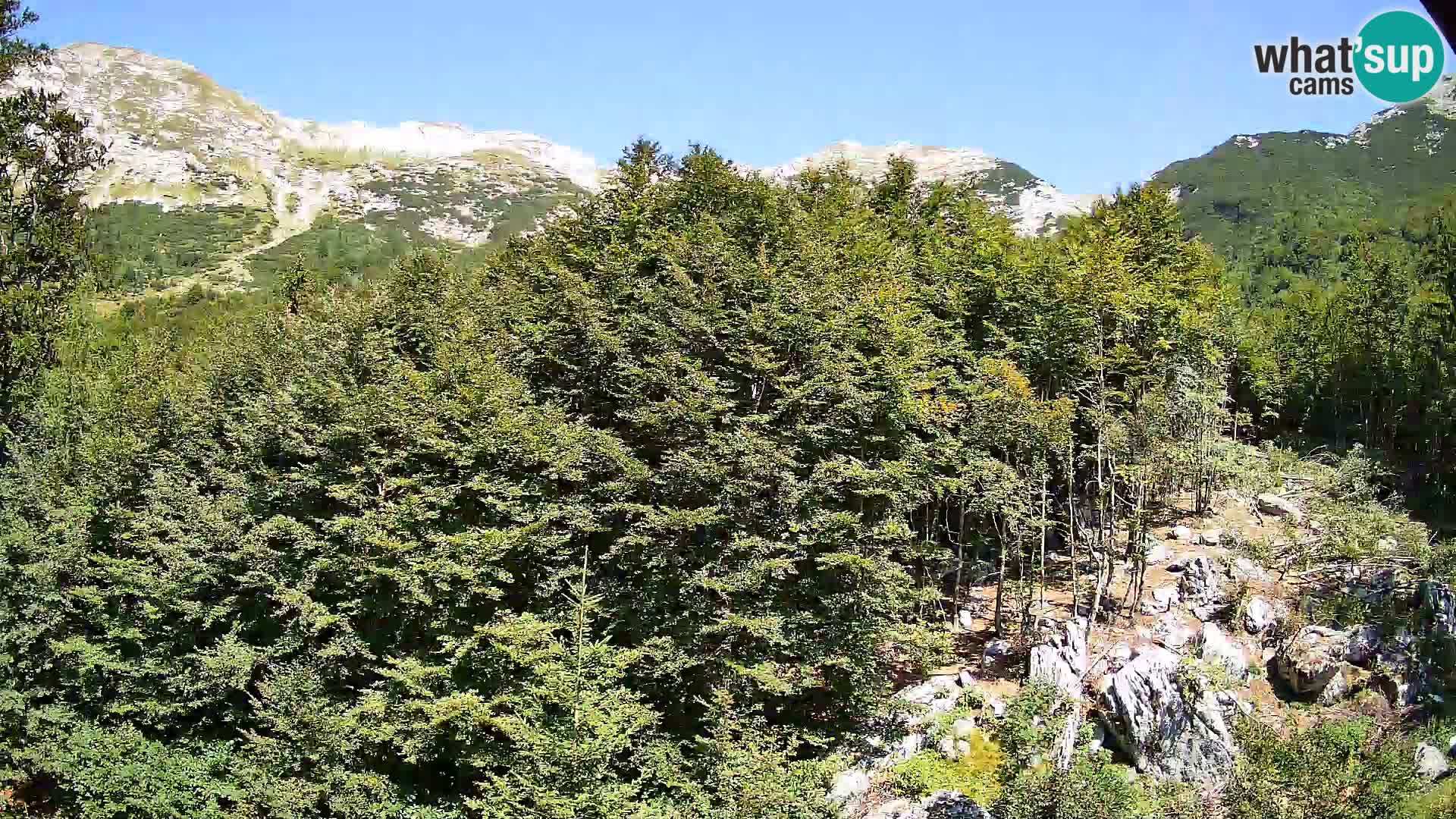 PLANINA RAZOR webcam (1315) | view to Vogel and Globoko