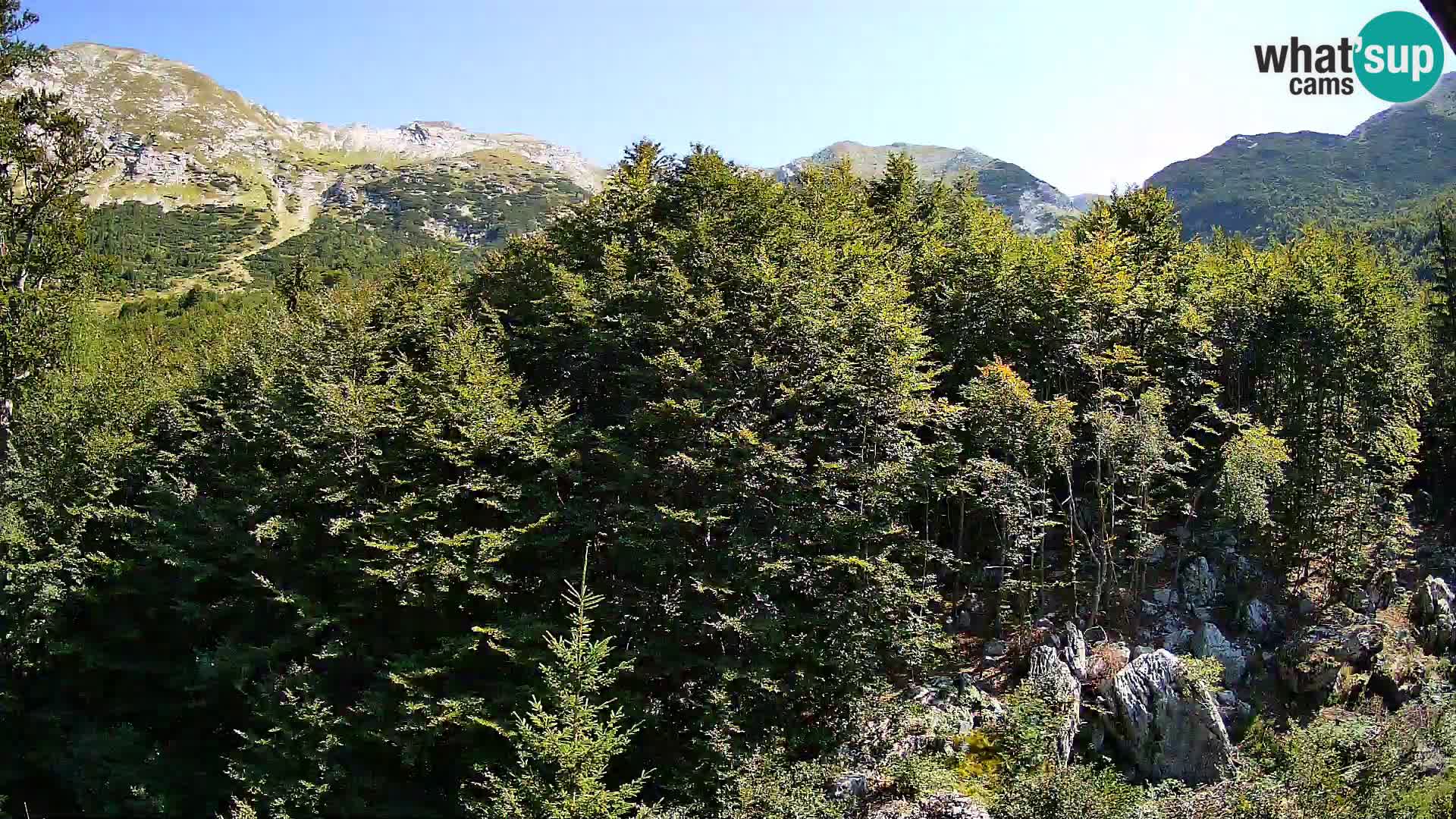 PLANINA RAZOR webcam (1315) | view to Vogel and Globoko