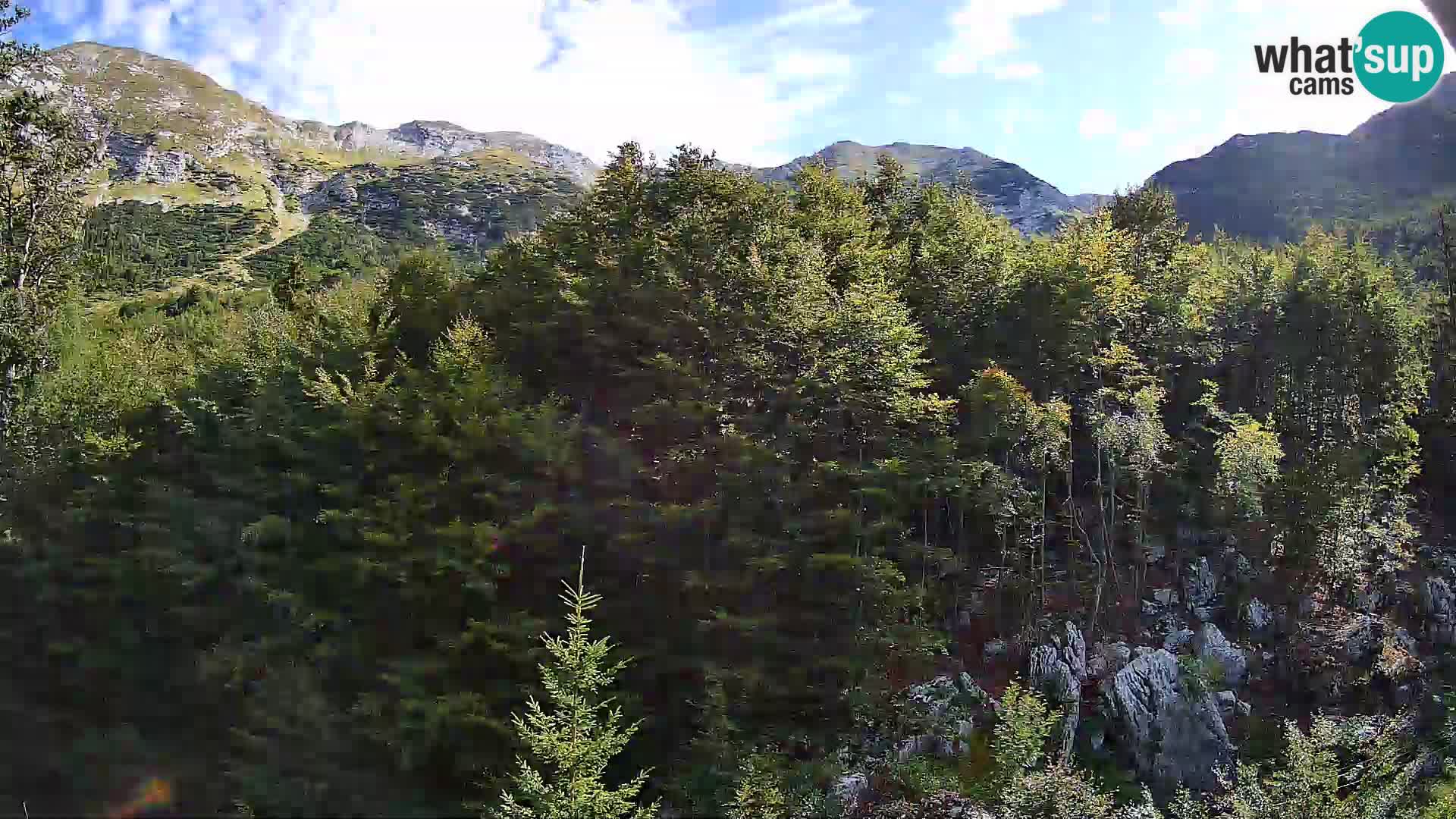 PLANINA RAZOR webcam (1315) | view to Vogel and Globoko