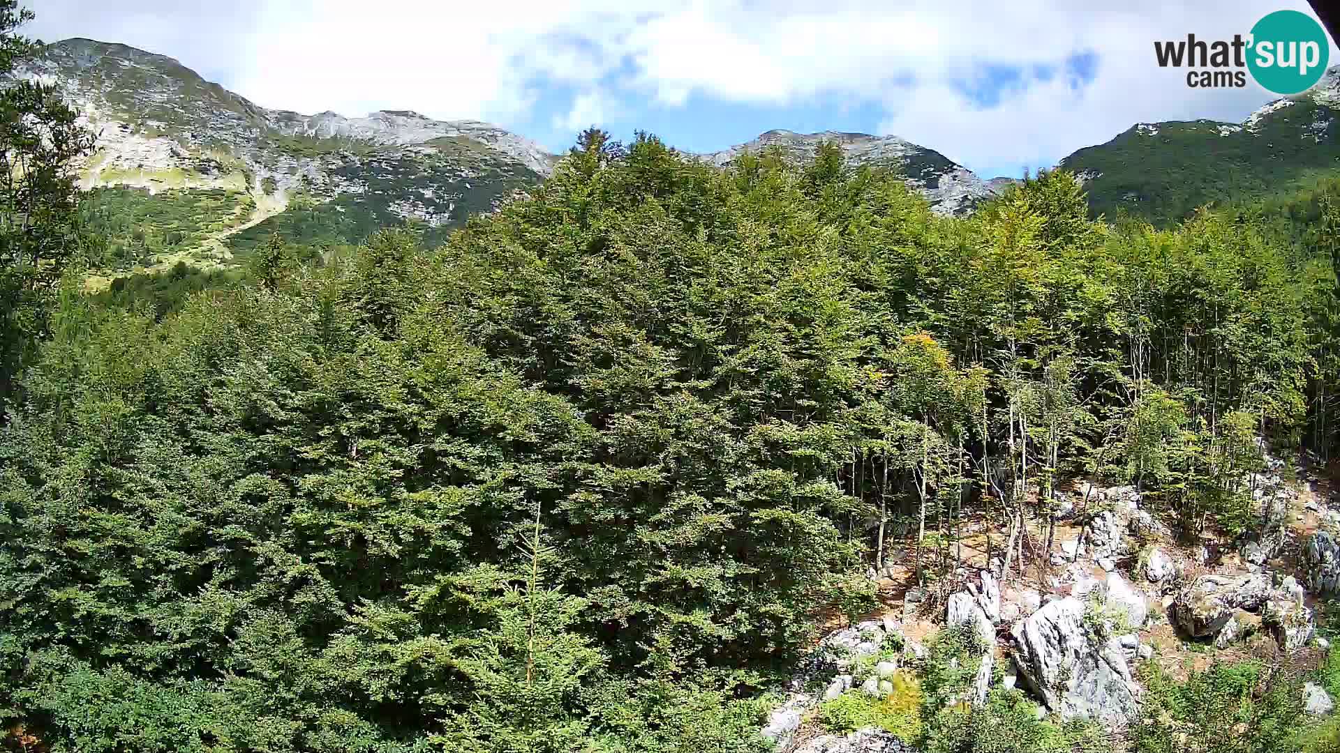 Cámara web PLANINA RAZOR (1315) | vista a Vogel y Globoko