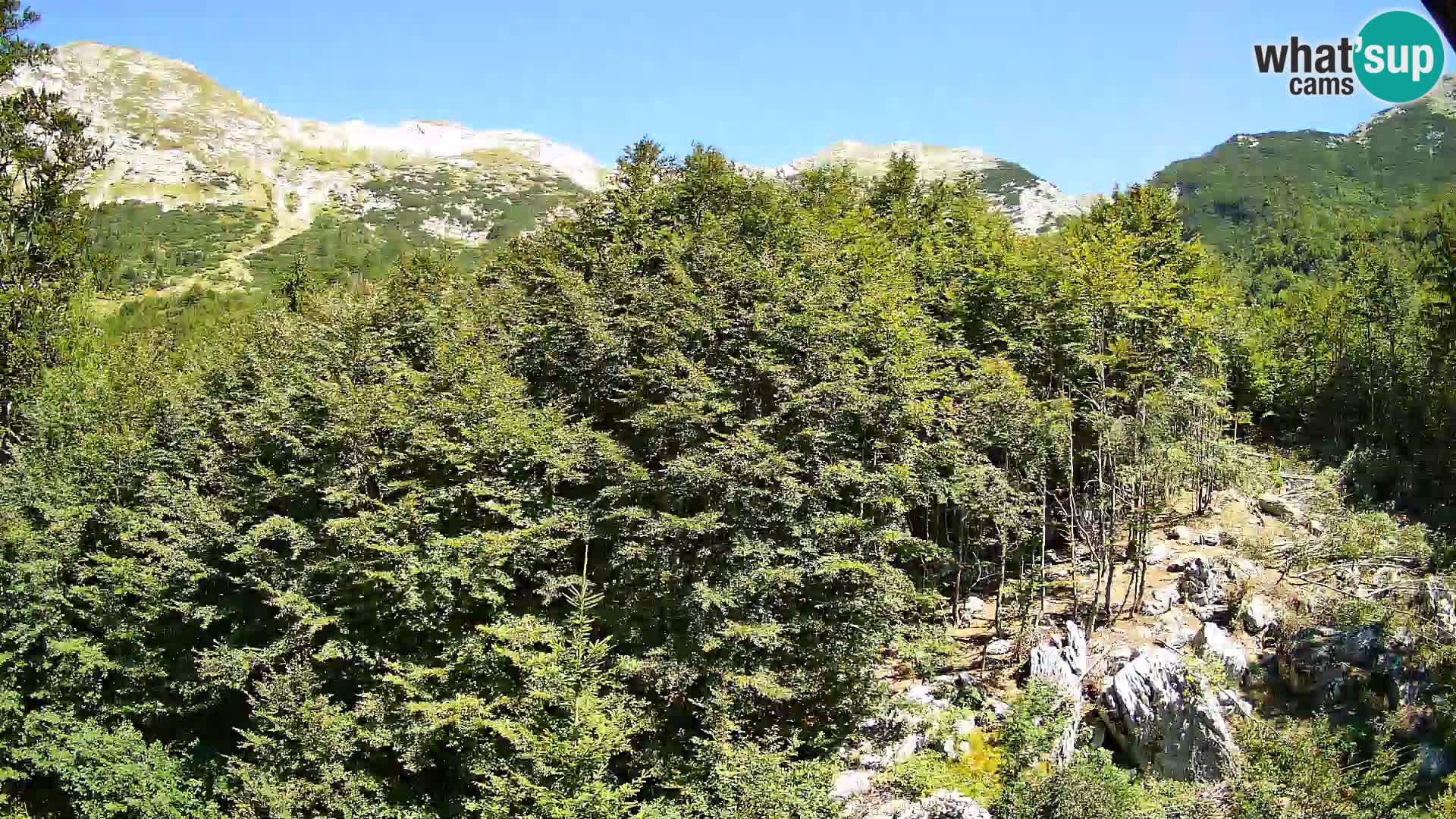 PLANINA RAZOR webcam (1315) | view to Vogel and Globoko