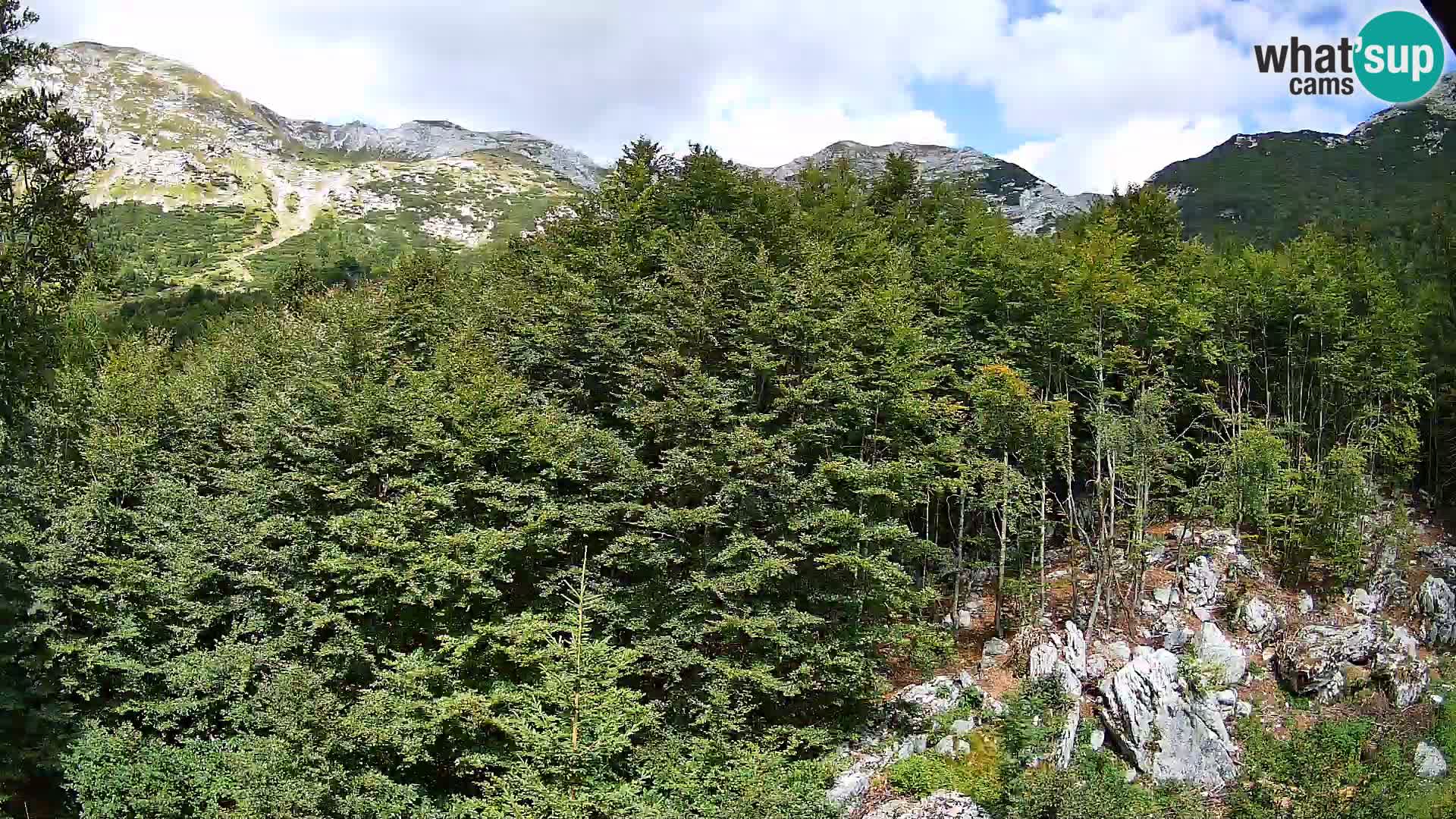 Livecam PLANINA RAZOR (1315) | vue sur Vogel et Globoko
