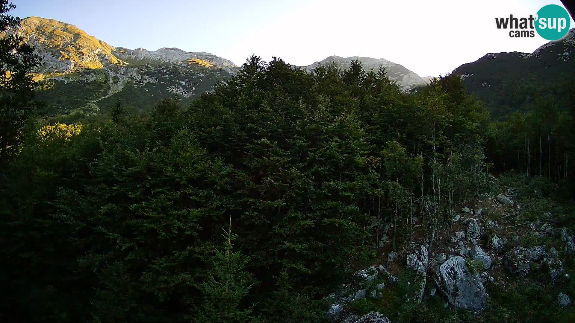 Webcam PLANINA RAZOR (1315) | Blick auf Vogel und Globoko