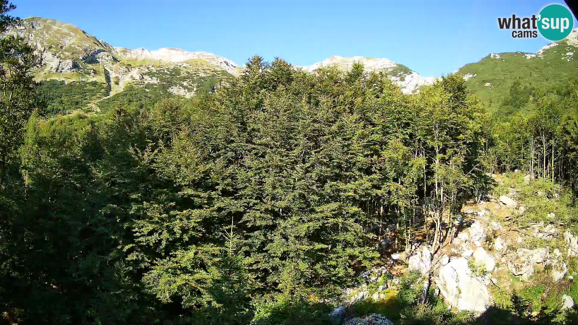 PLANINA RAZOR webcam (1315) | view to Vogel and Globoko