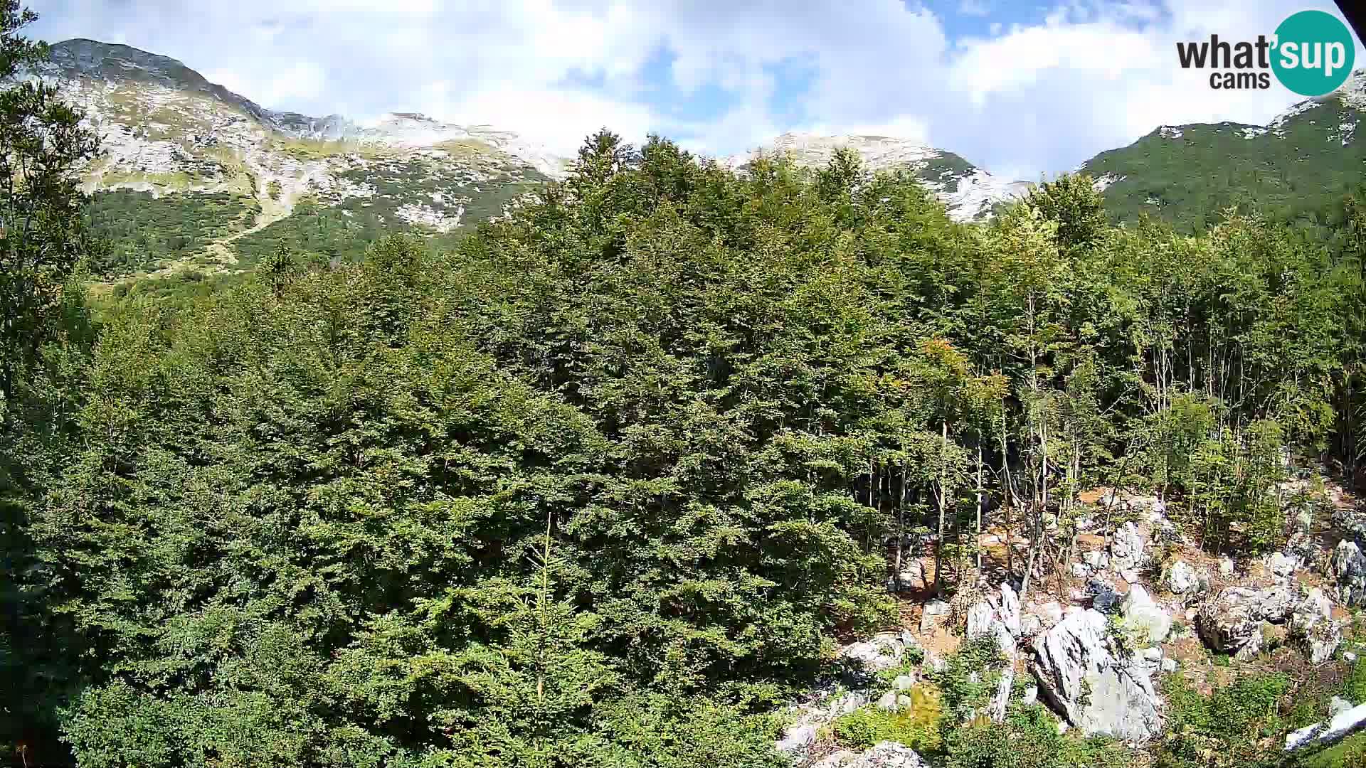 PLANINA RAZOR Live Cam (1315) | vista su Vogel e Globoko