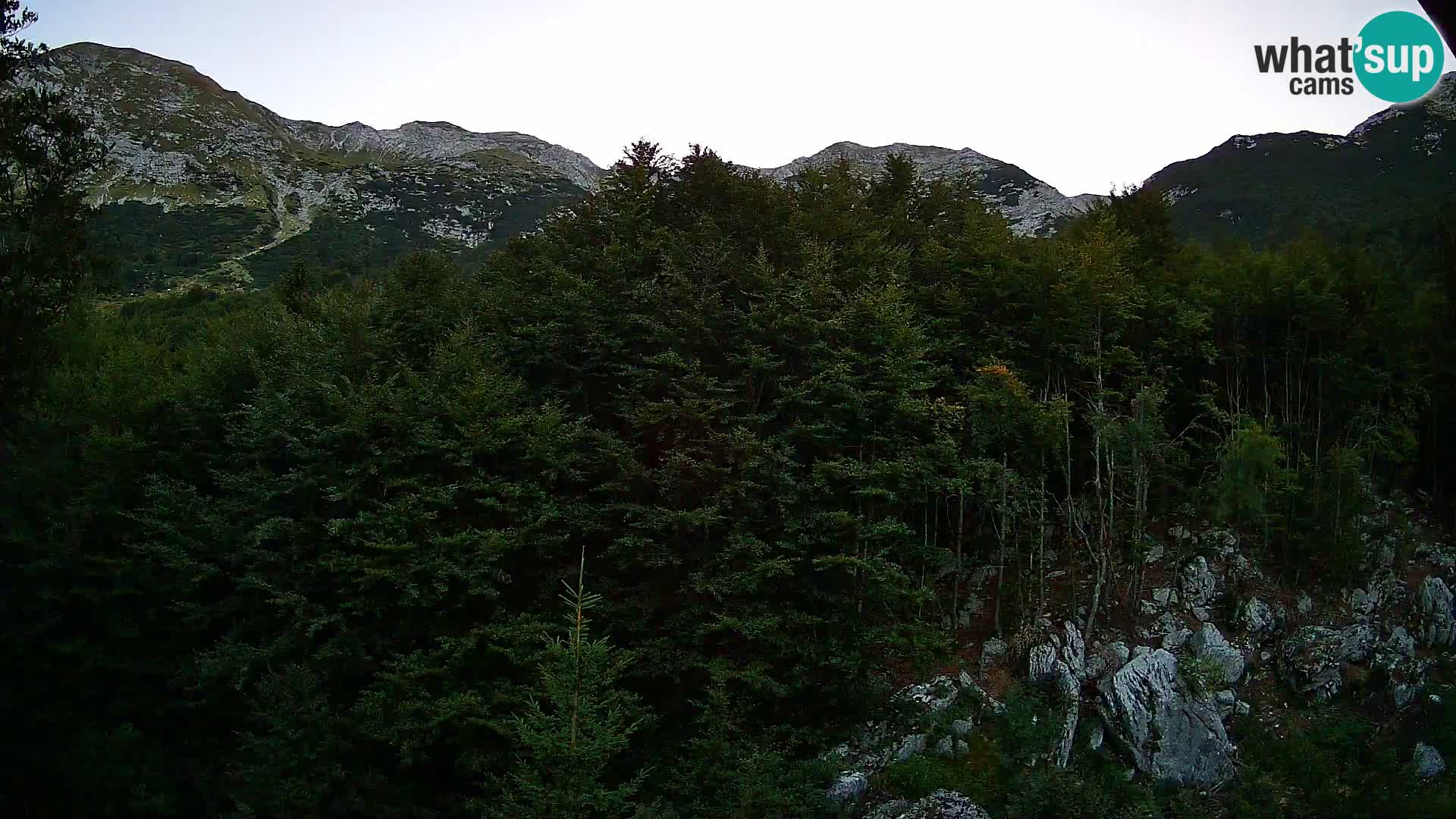 Webcam PLANINA RAZOR (1315) | Blick auf Vogel und Globoko