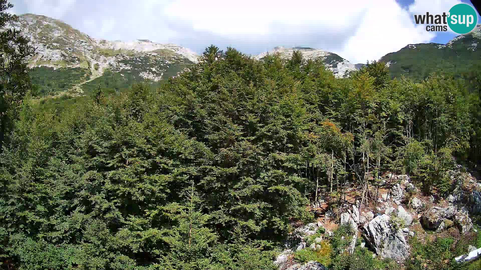 Cámara web PLANINA RAZOR (1315) | vista a Vogel y Globoko