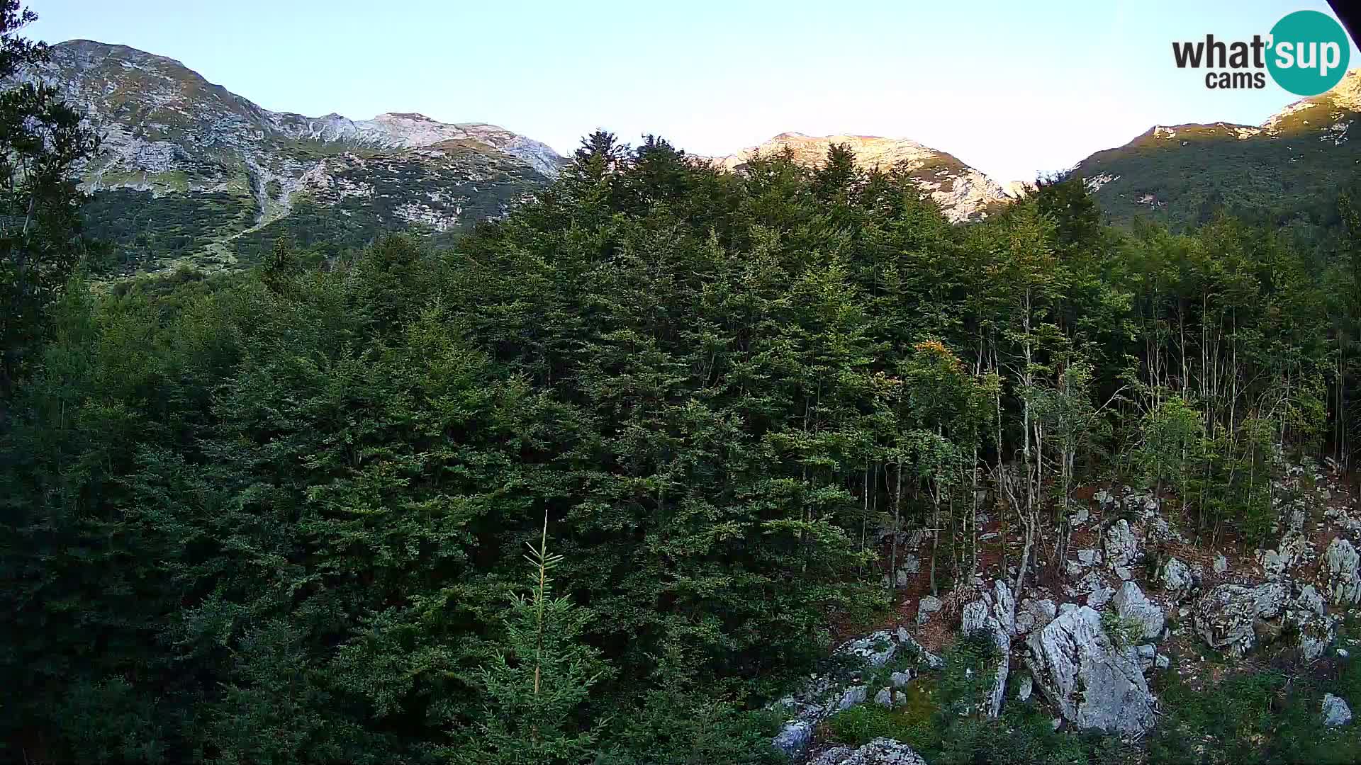 Webcam PLANINA RAZOR (1315) | Blick auf Vogel und Globoko