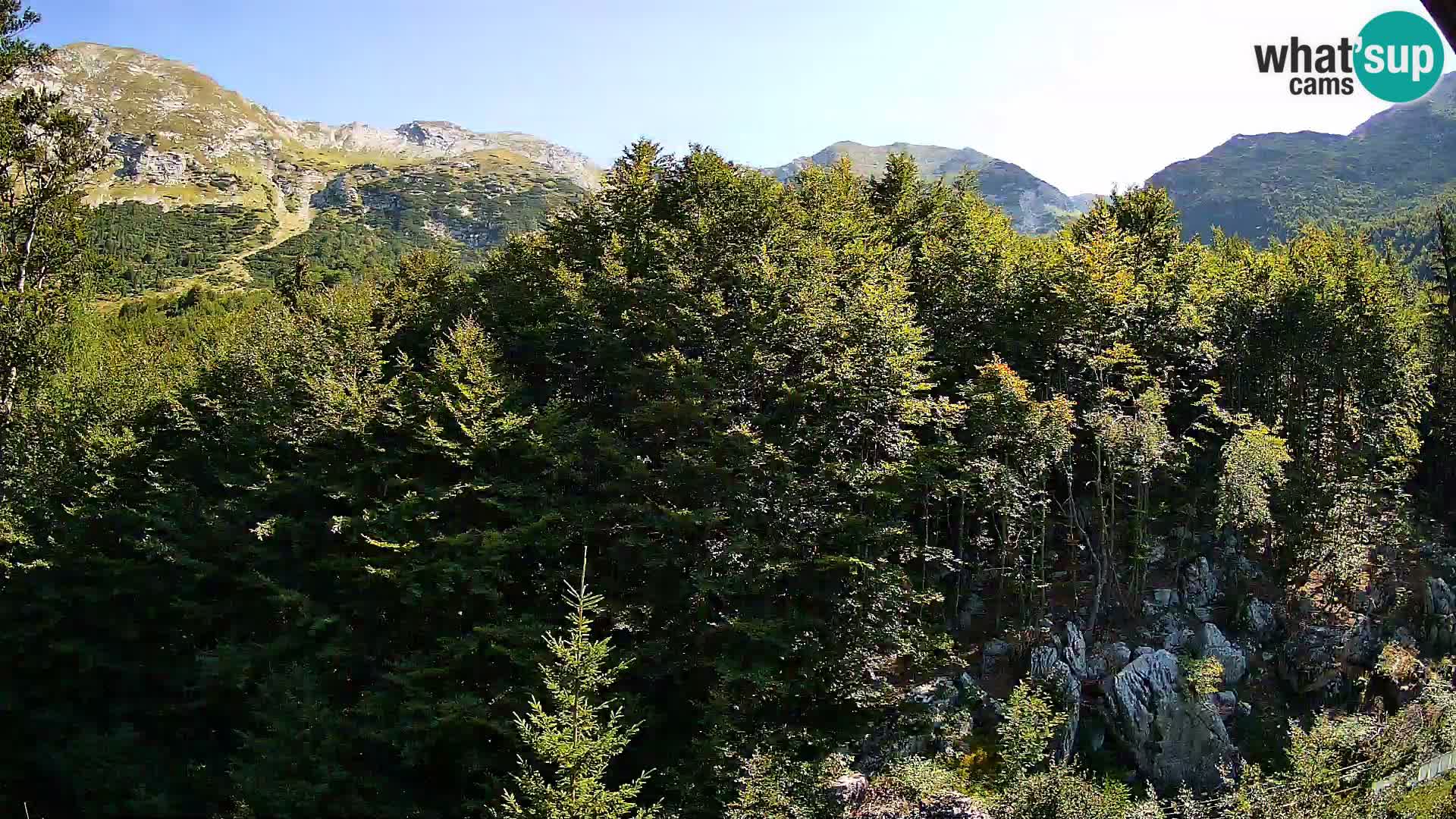 Webcam PLANINA RAZOR (1315) | Blick auf Vogel und Globoko