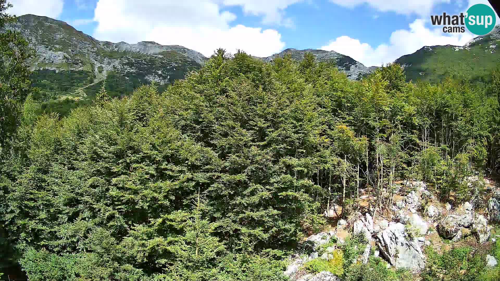 Cámara web PLANINA RAZOR (1315) | vista a Vogel y Globoko