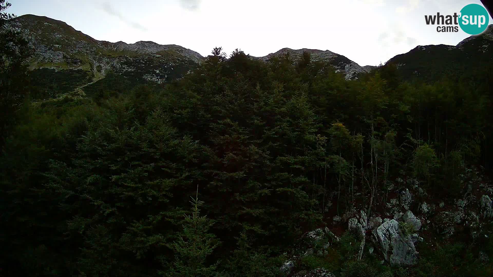 PLANINA RAZOR web kamera (1315) | pogled na Vogel i Globoko